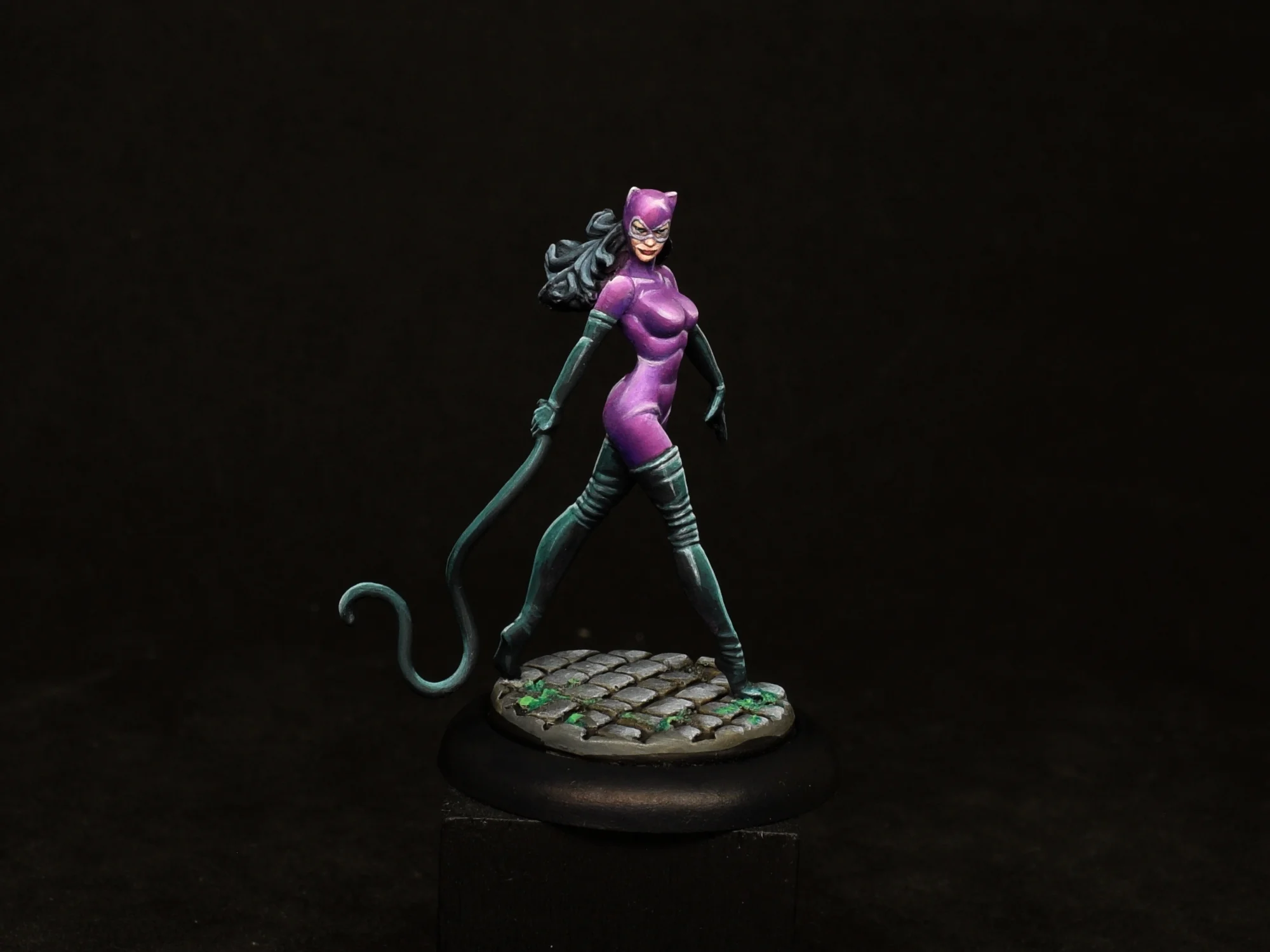 Catwoman 12.JPG