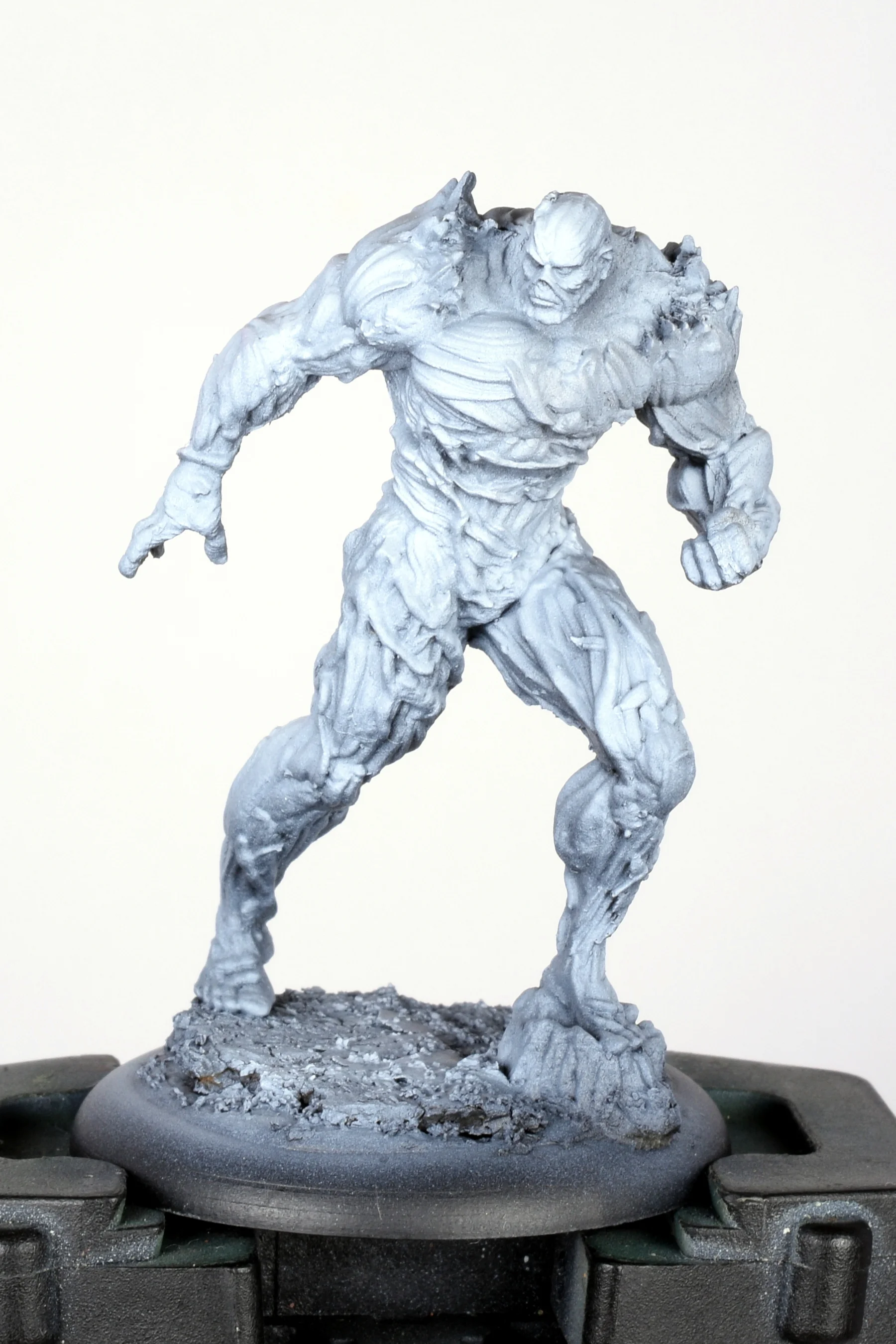 Swamp thing 0.JPG
