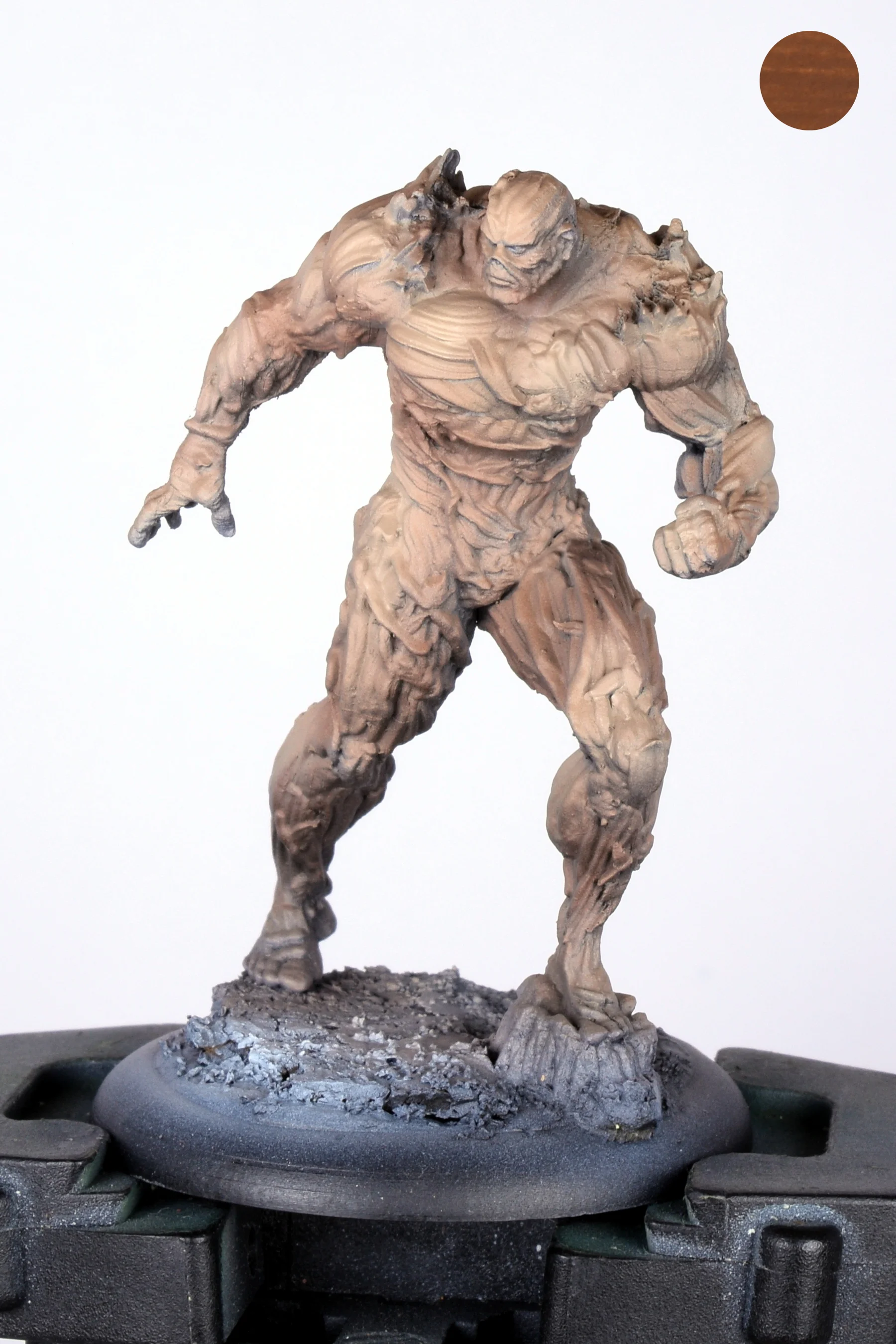 Swamp thing 01.JPG