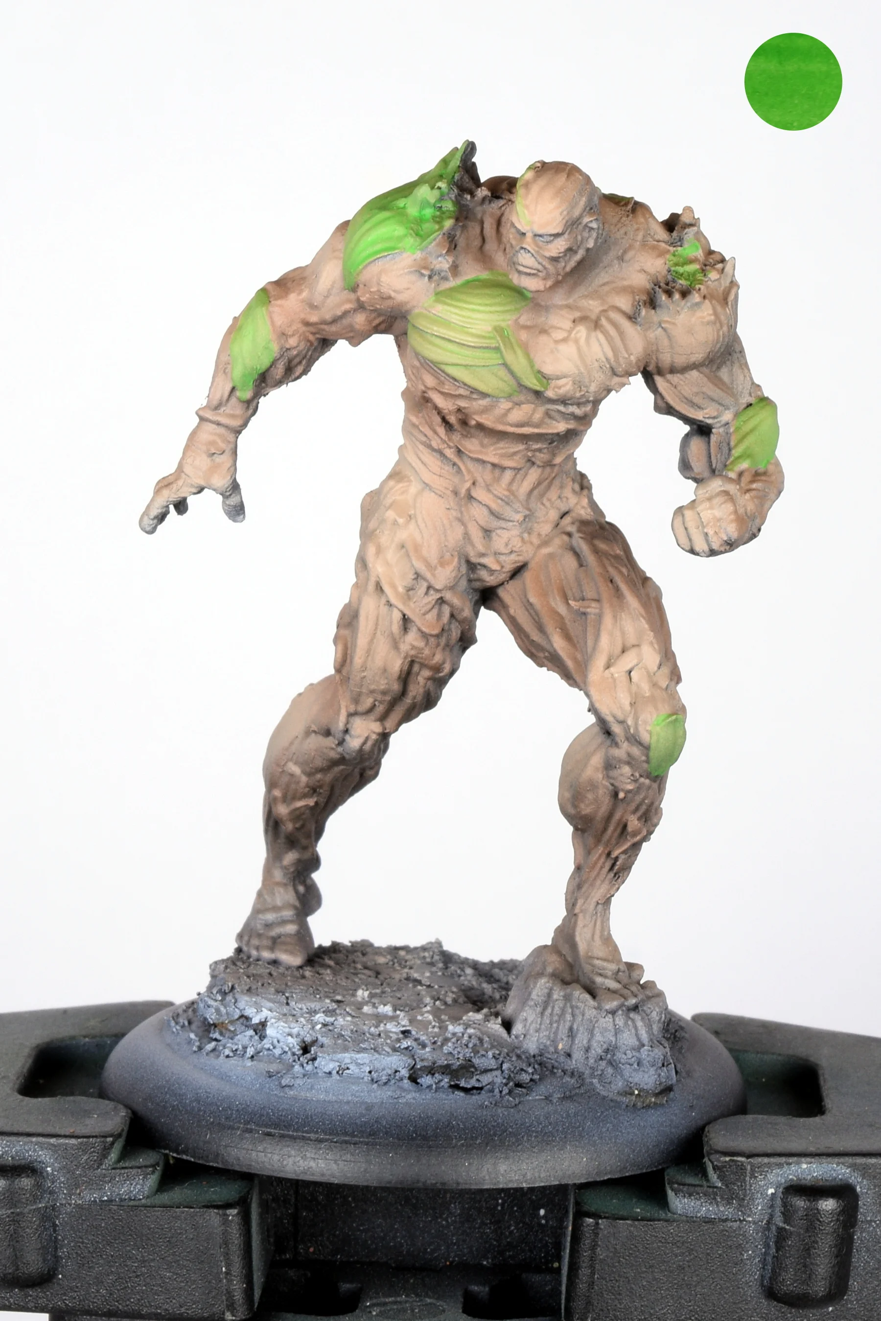 Swamp thing 02.JPG