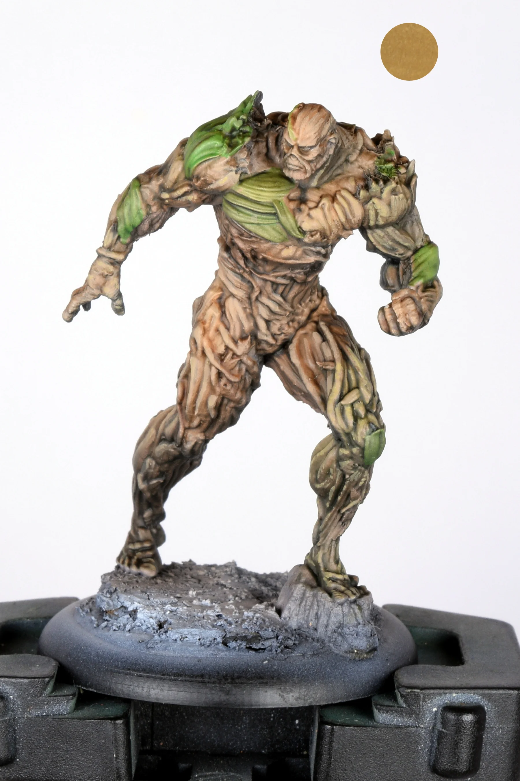 Swamp thing 05.JPG
