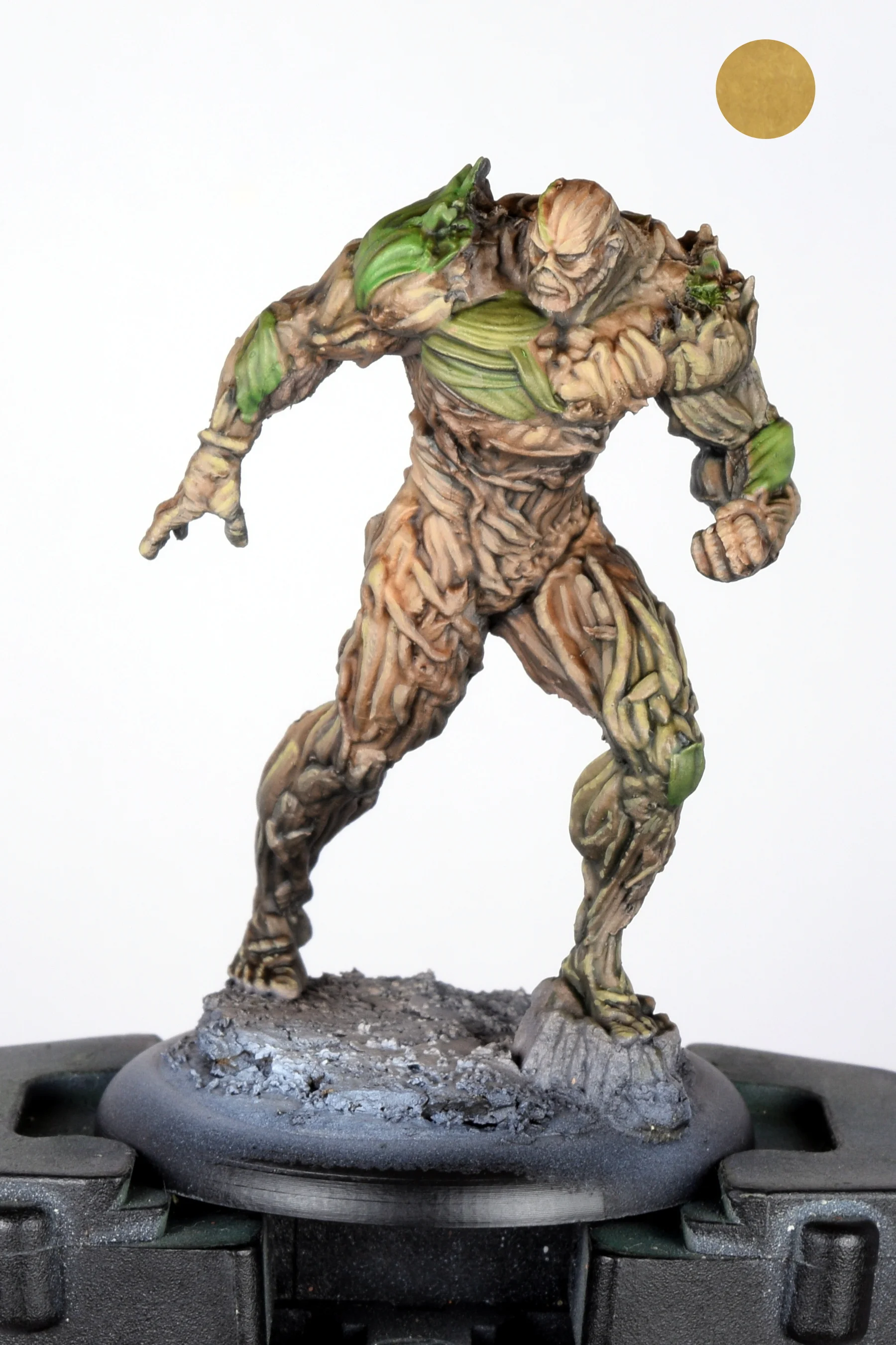 Swamp thing 06.JPG