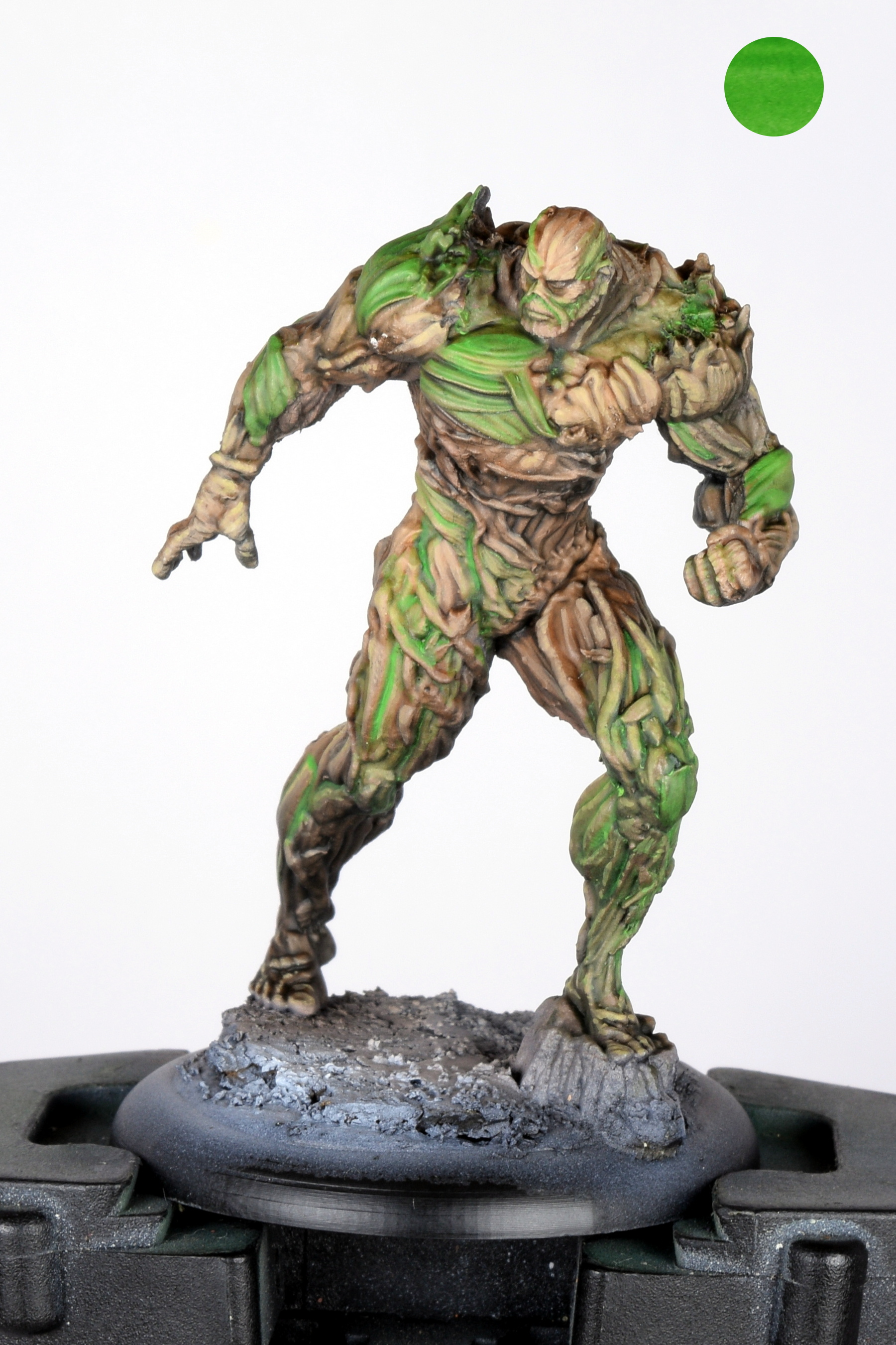 Swamp thing 07.JPG