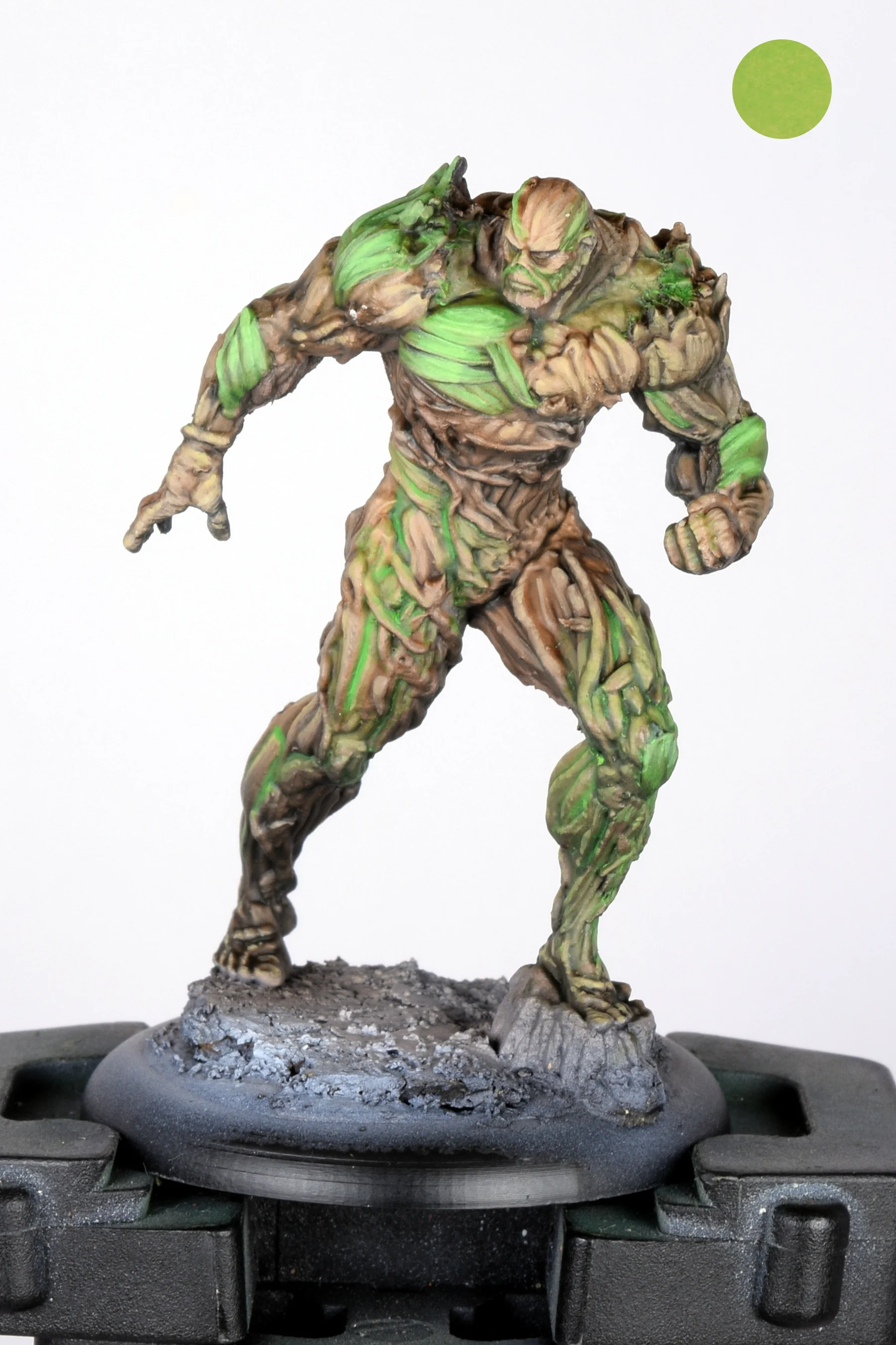Swamp thing 08.JPG