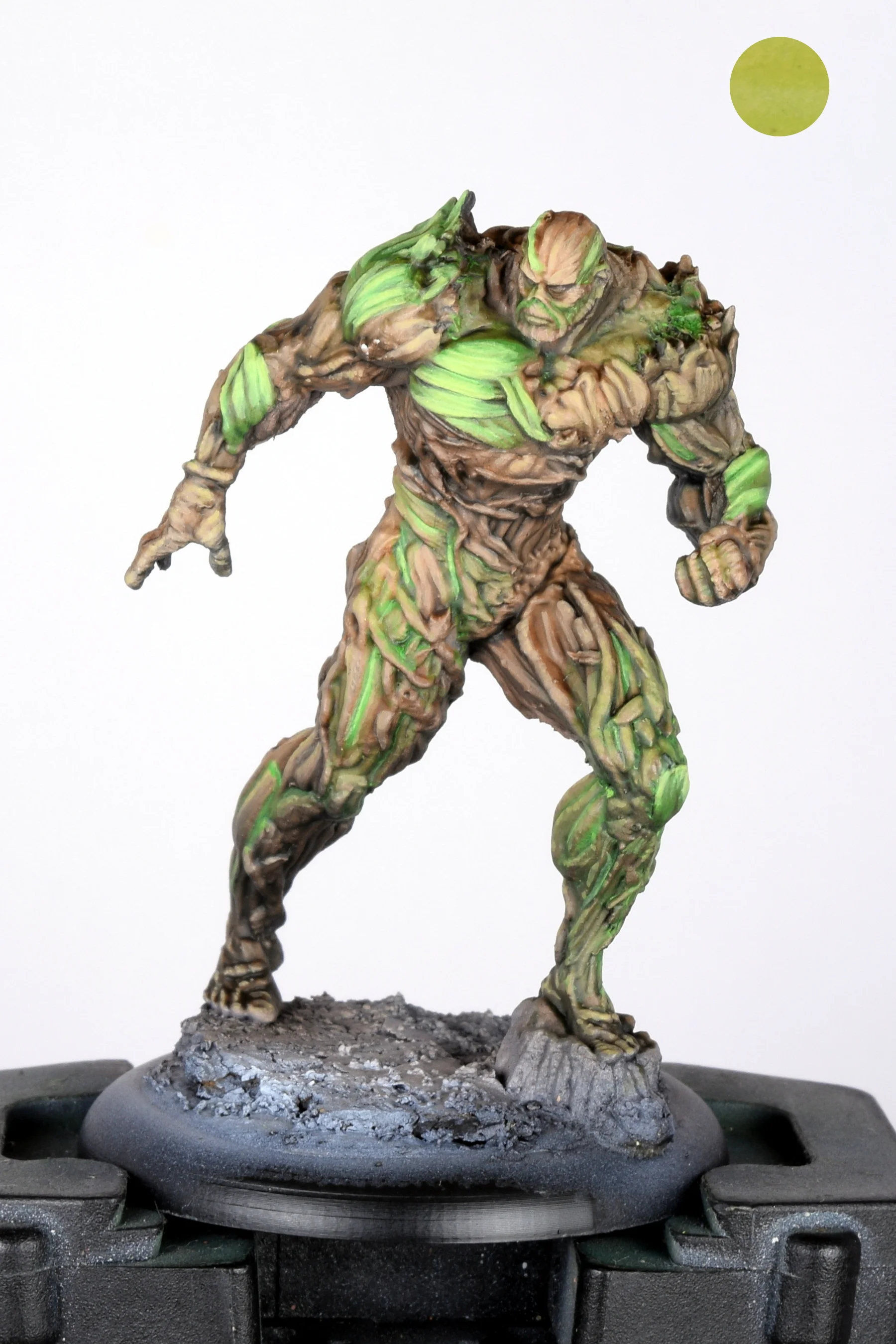 Swamp thing 09.JPG