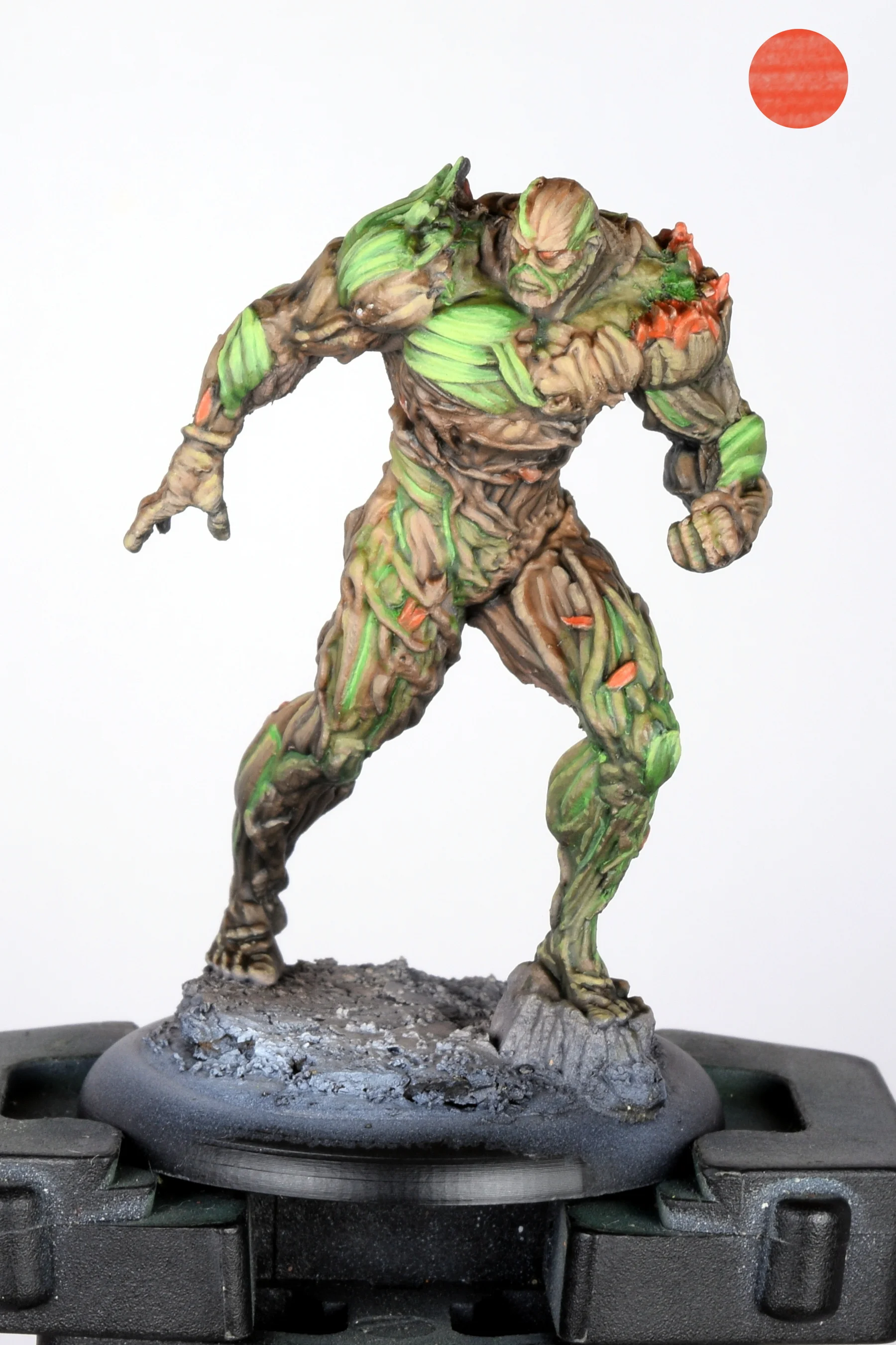 Swamp thing 10.JPG
