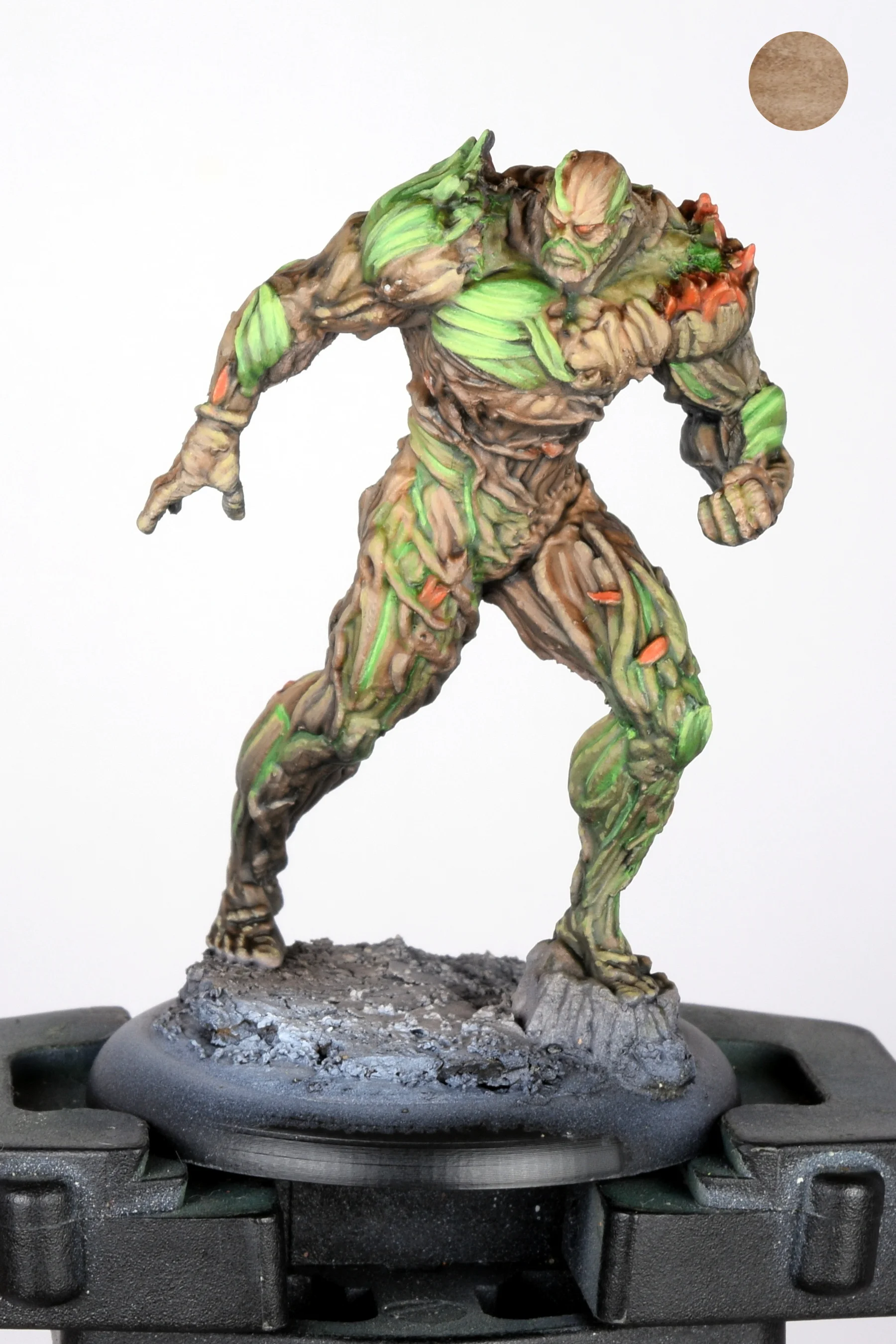 Swamp thing 11.JPG