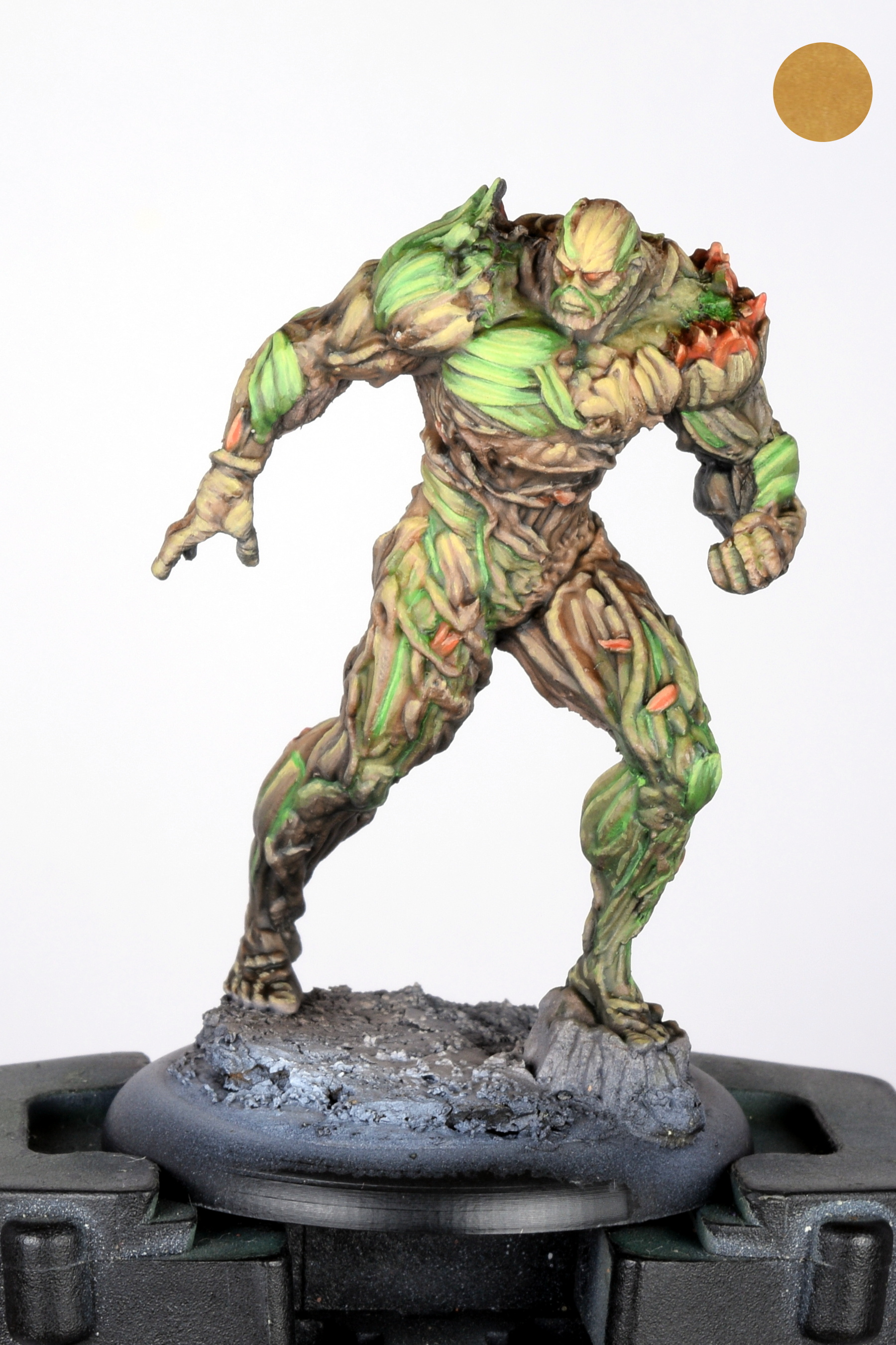 Swamp thing 12.JPG
