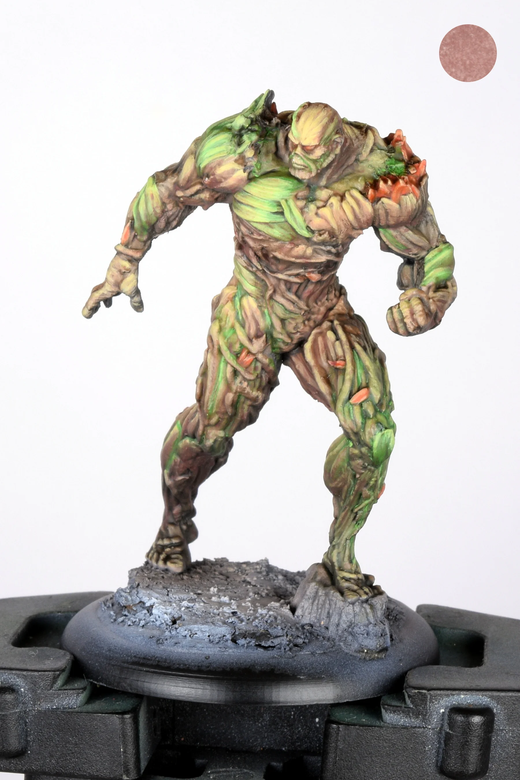 Swamp thing 14.JPG