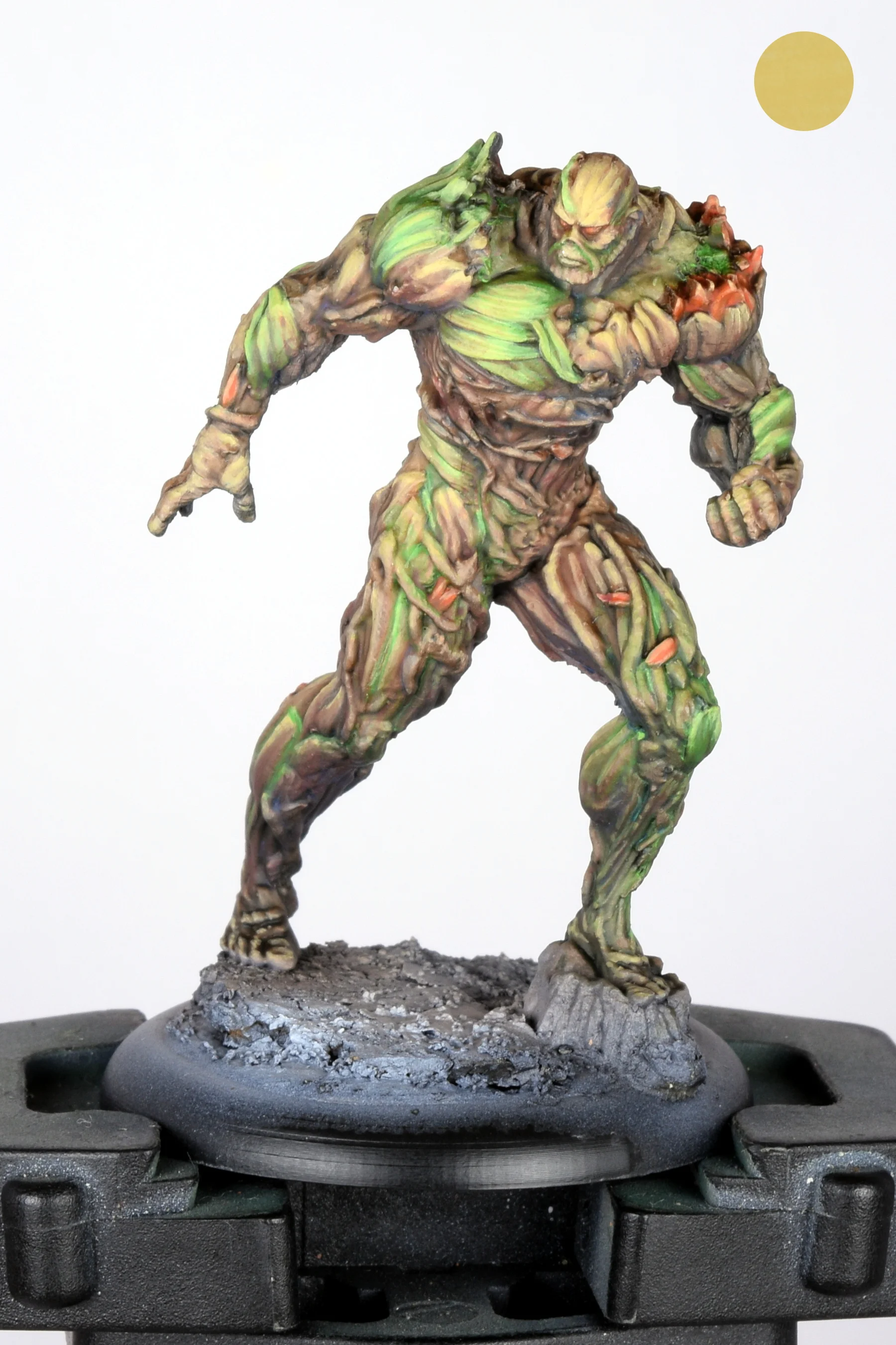 Swamp thing 13.JPG