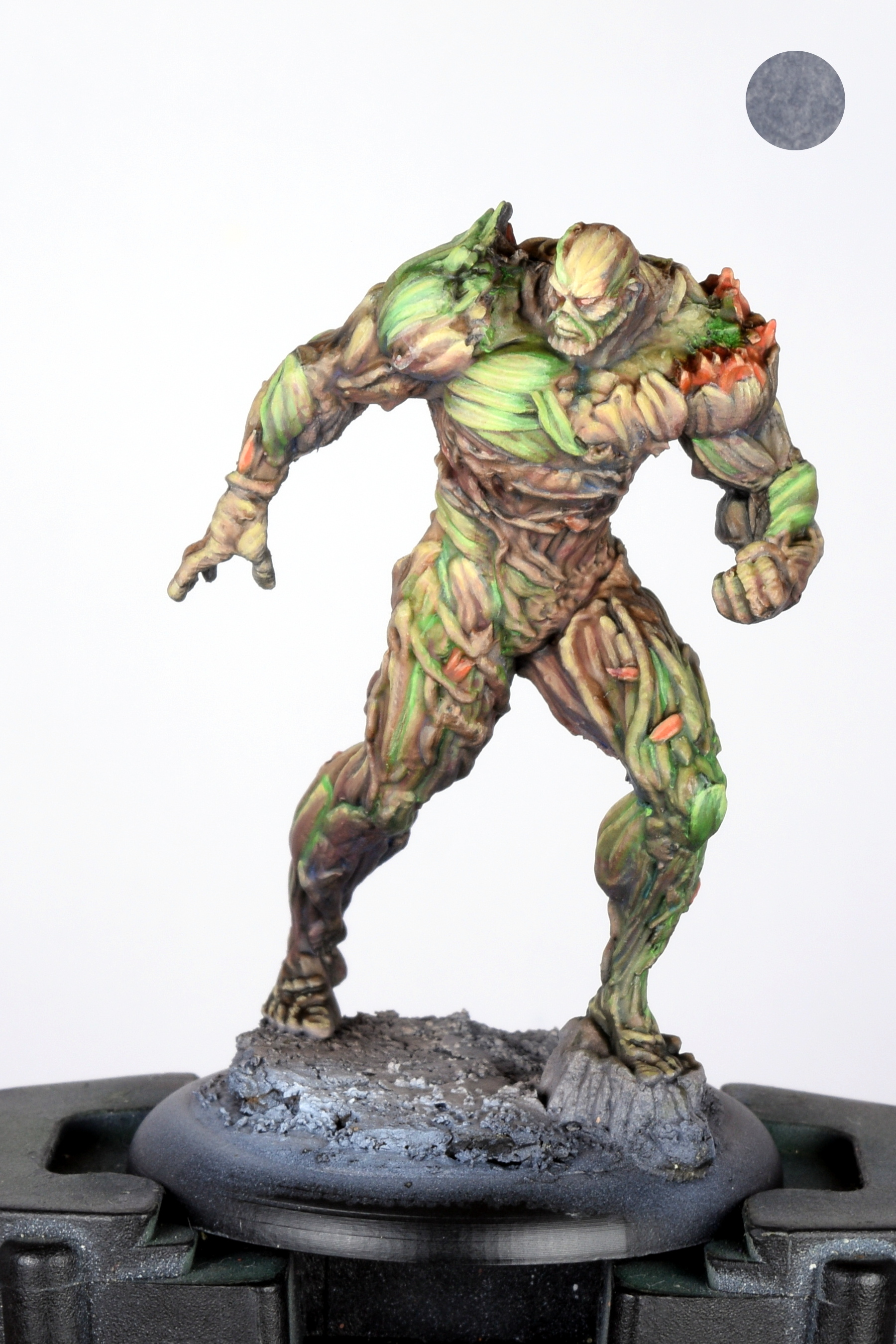Swamp thing 15.JPG