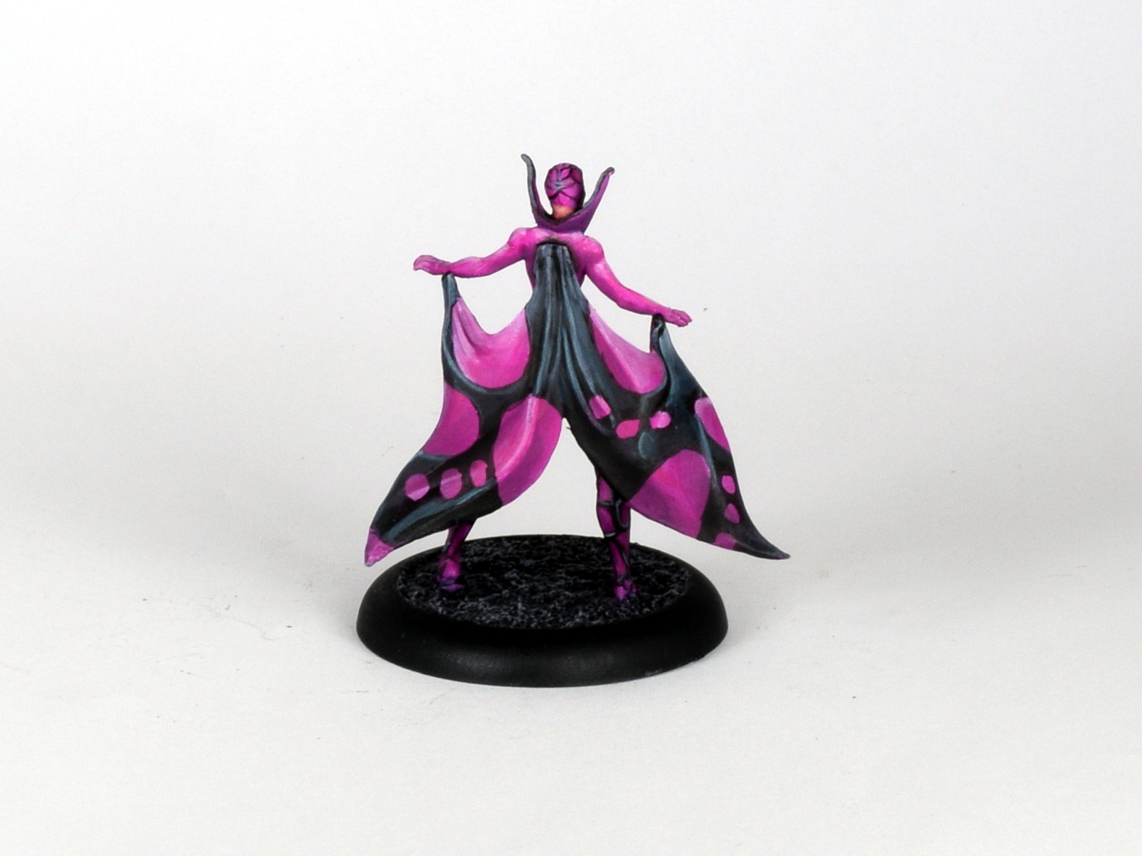 Black orchid 23.JPG