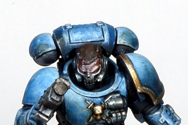 Primaris 44.JPG