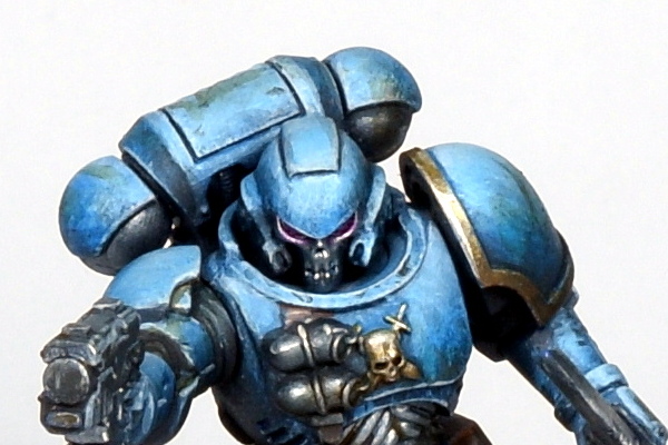 Primaris 64.JPG
