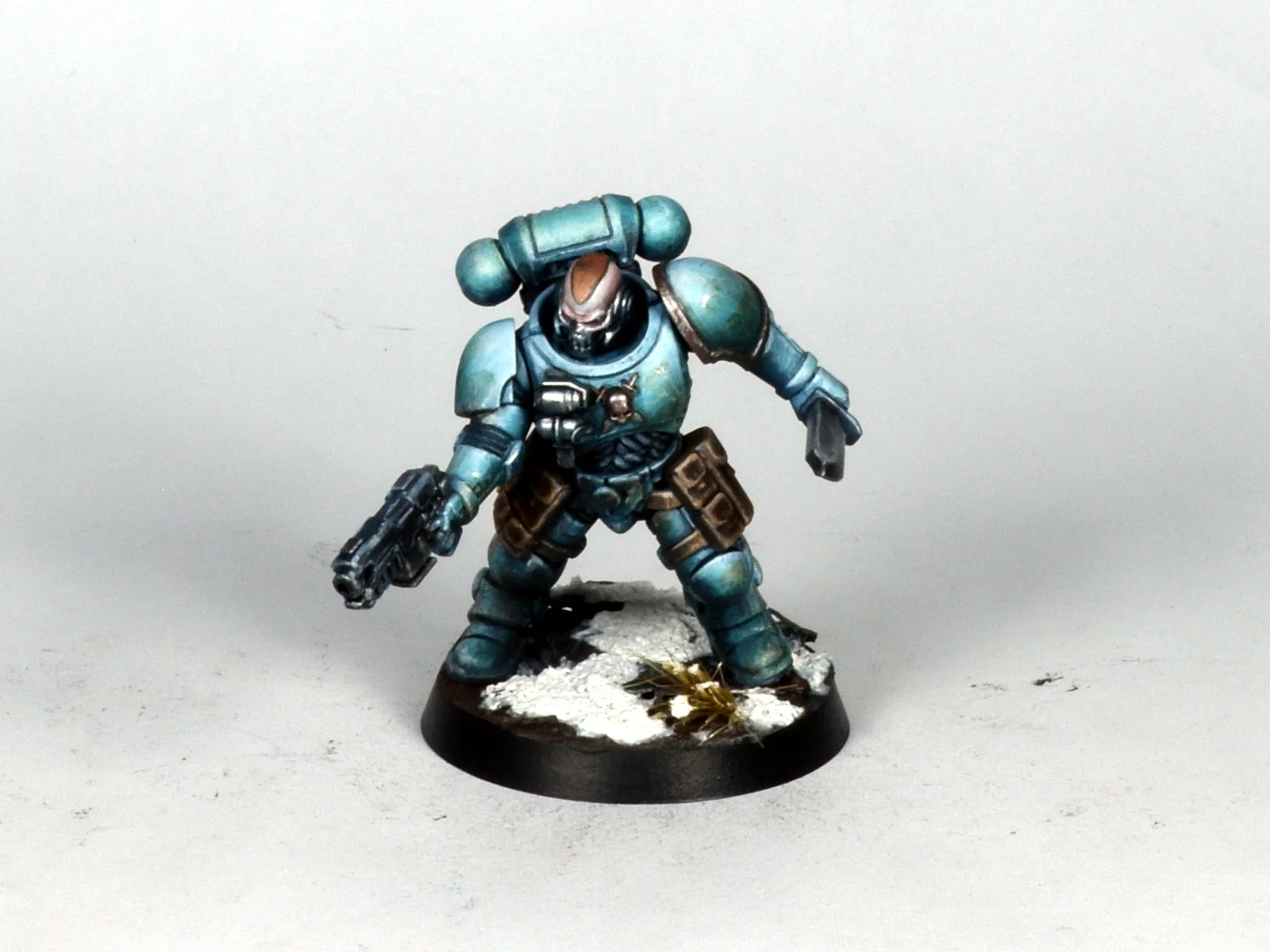 Primaris 11.JPG