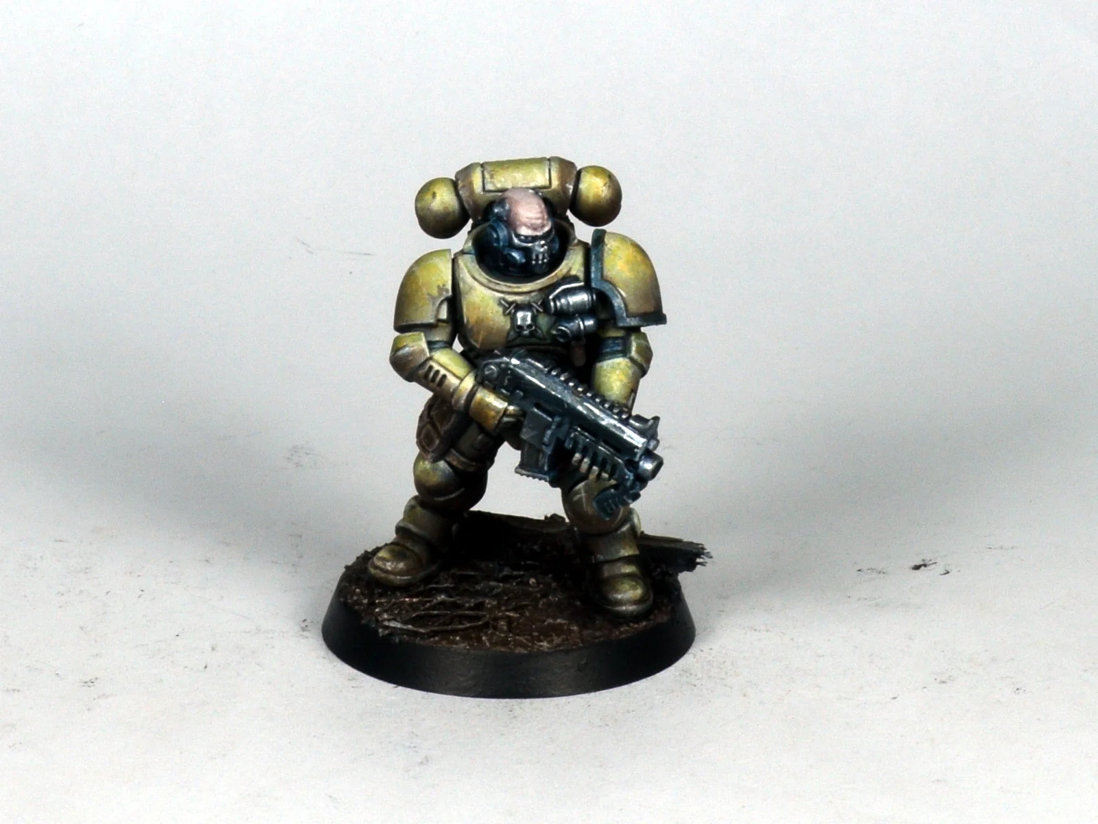Primaris 13.JPG