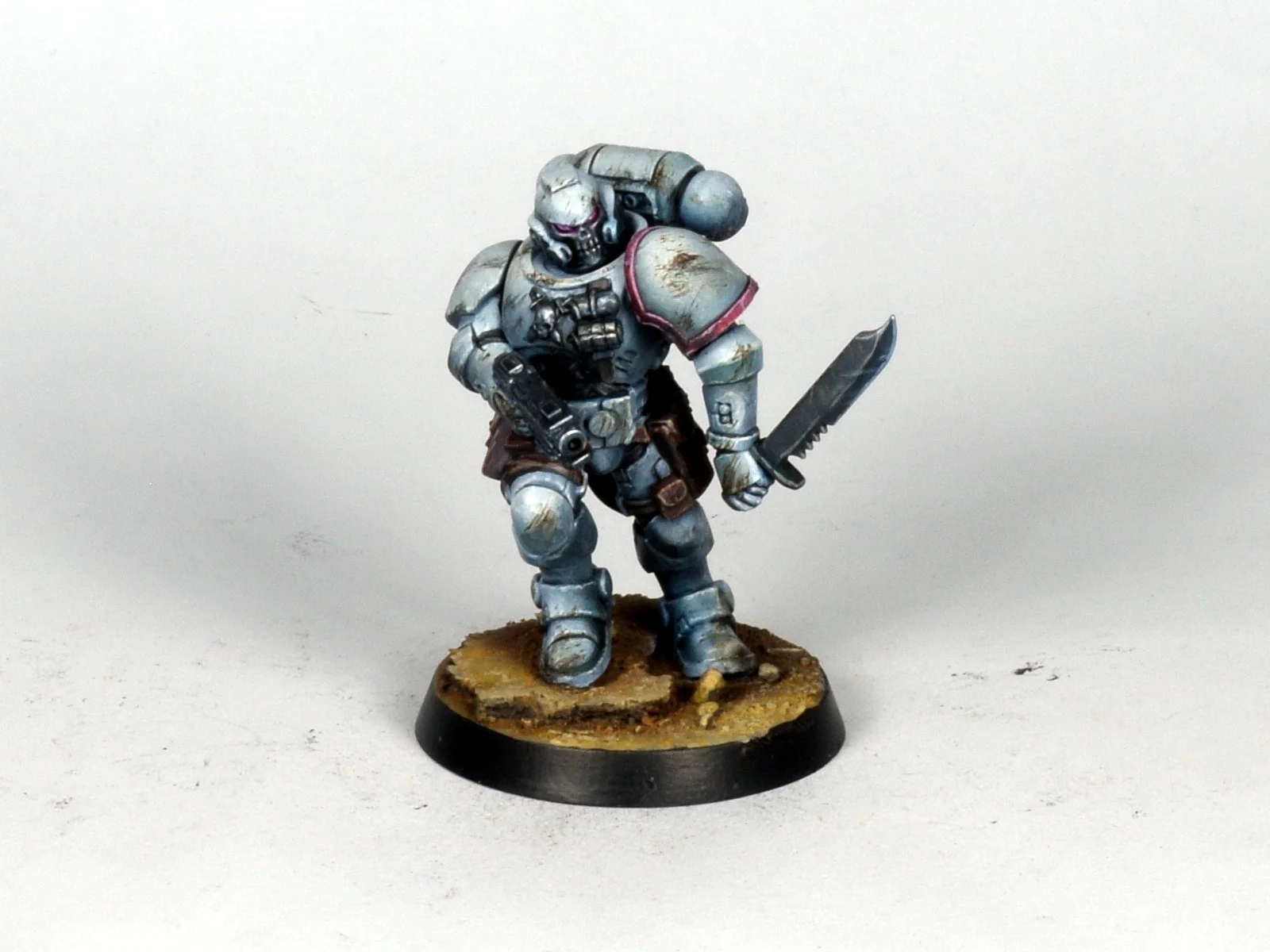 Primaris 15.JPG