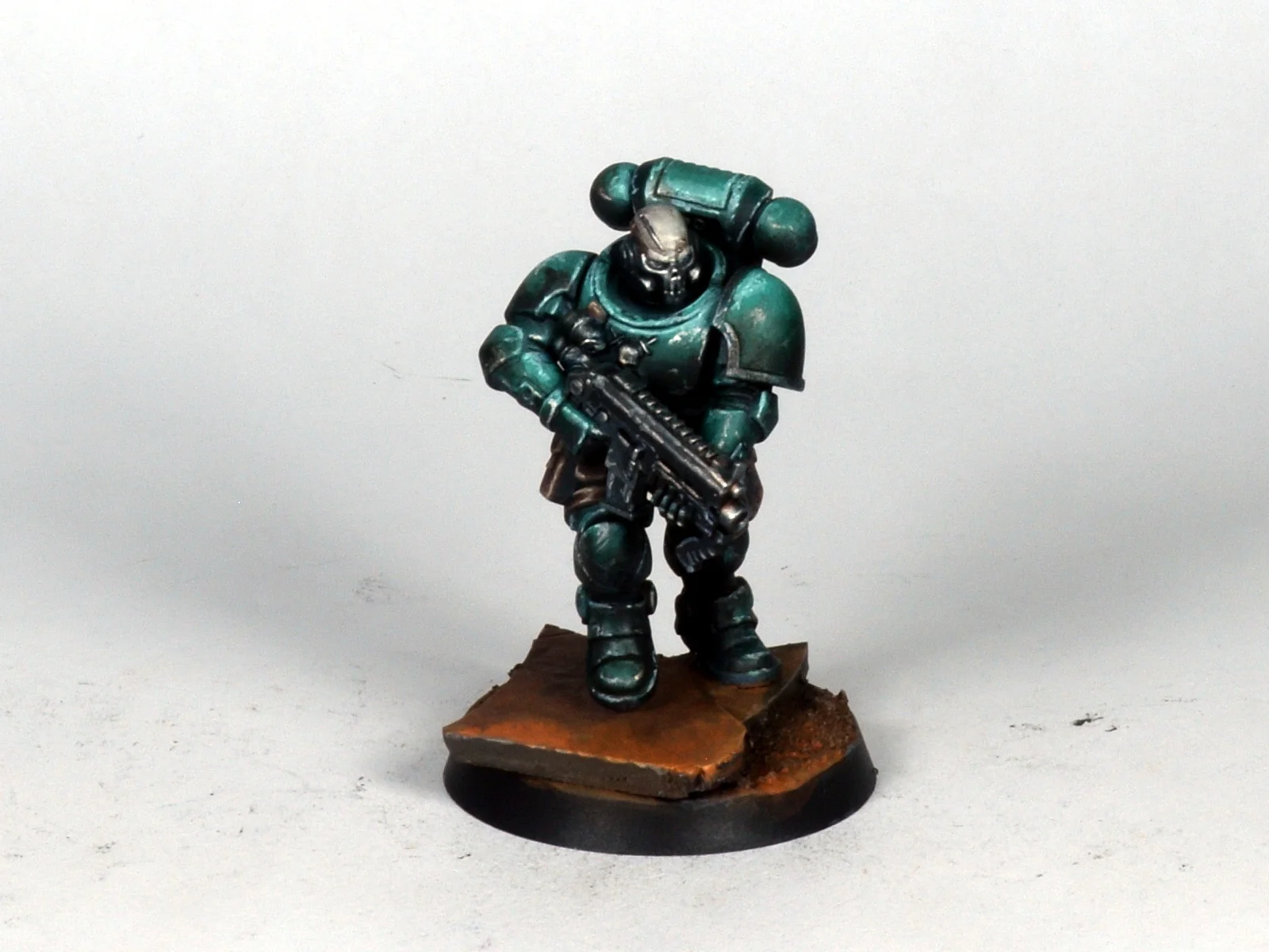 Primaris 16.JPG