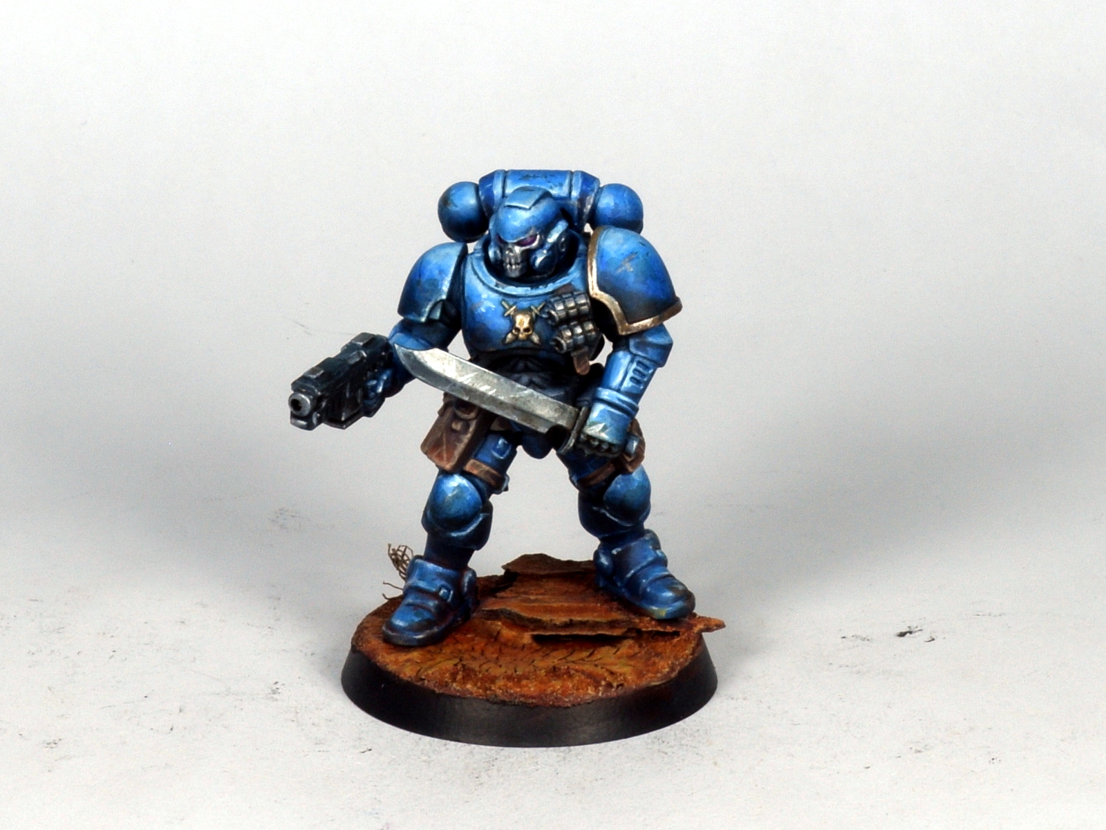 Primaris 17.JPG