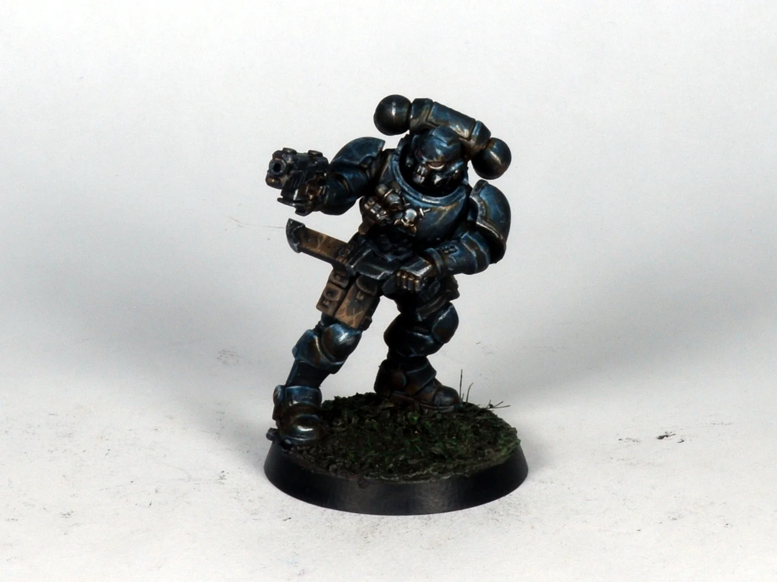 Primaris 19.JPG