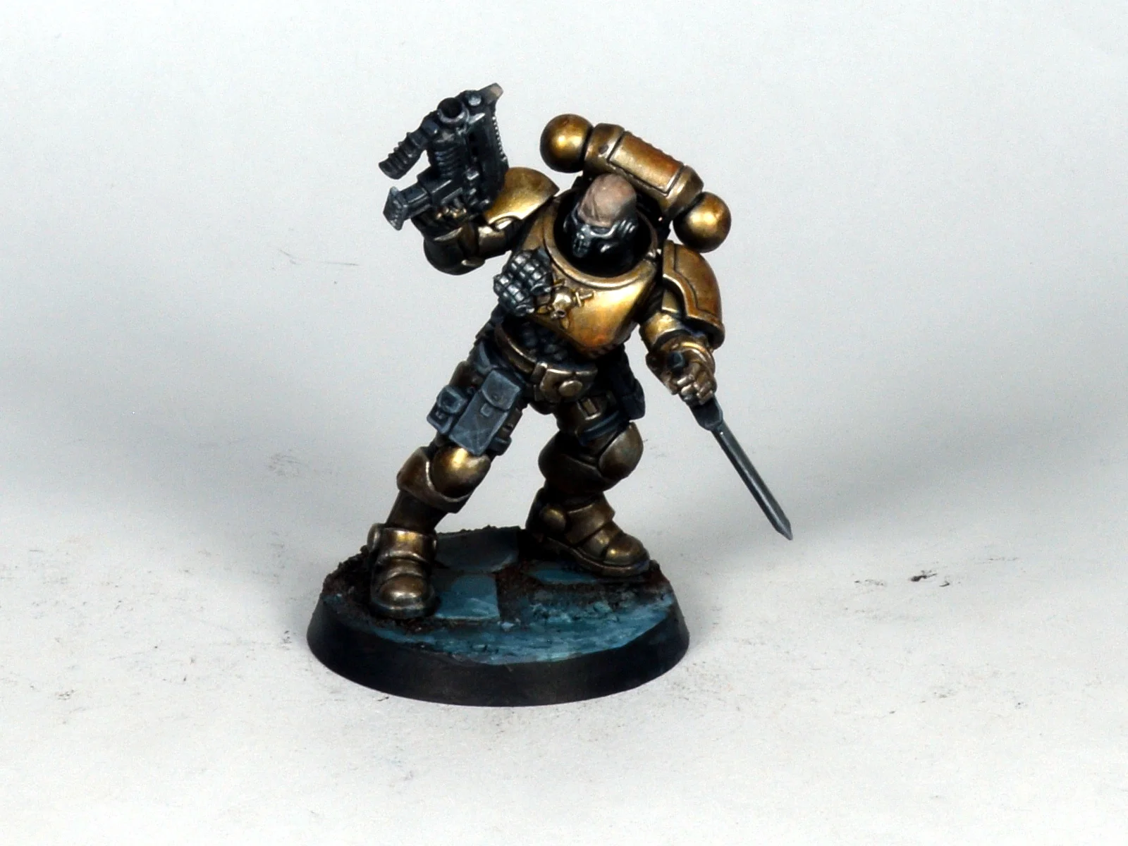 Primaris 20.JPG