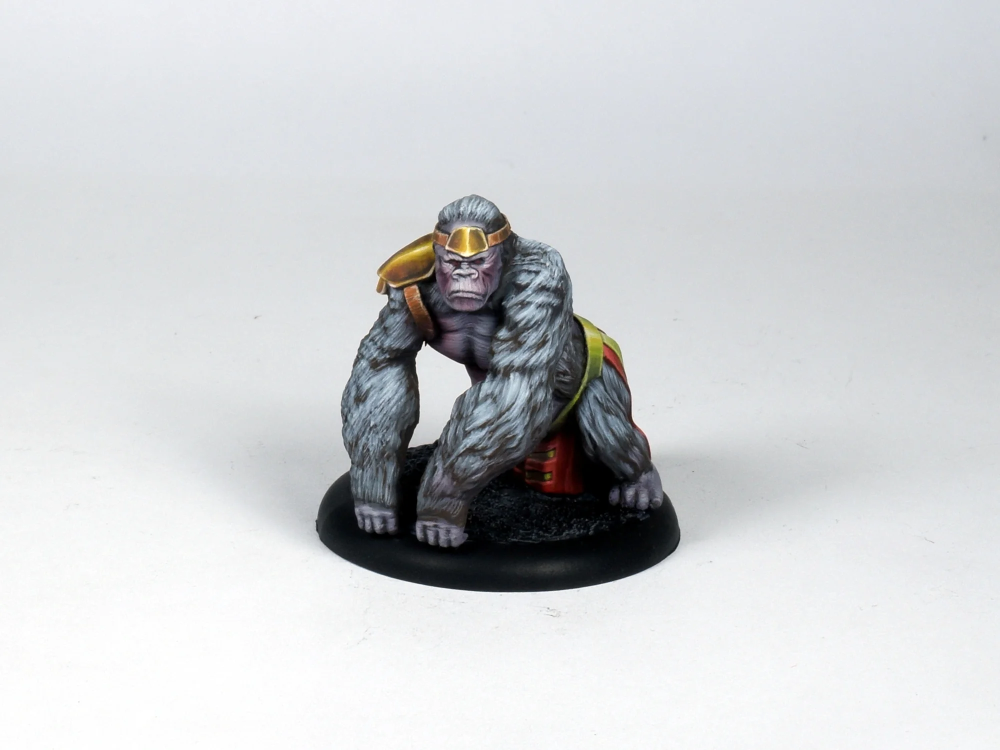 Grodd 45.JPG