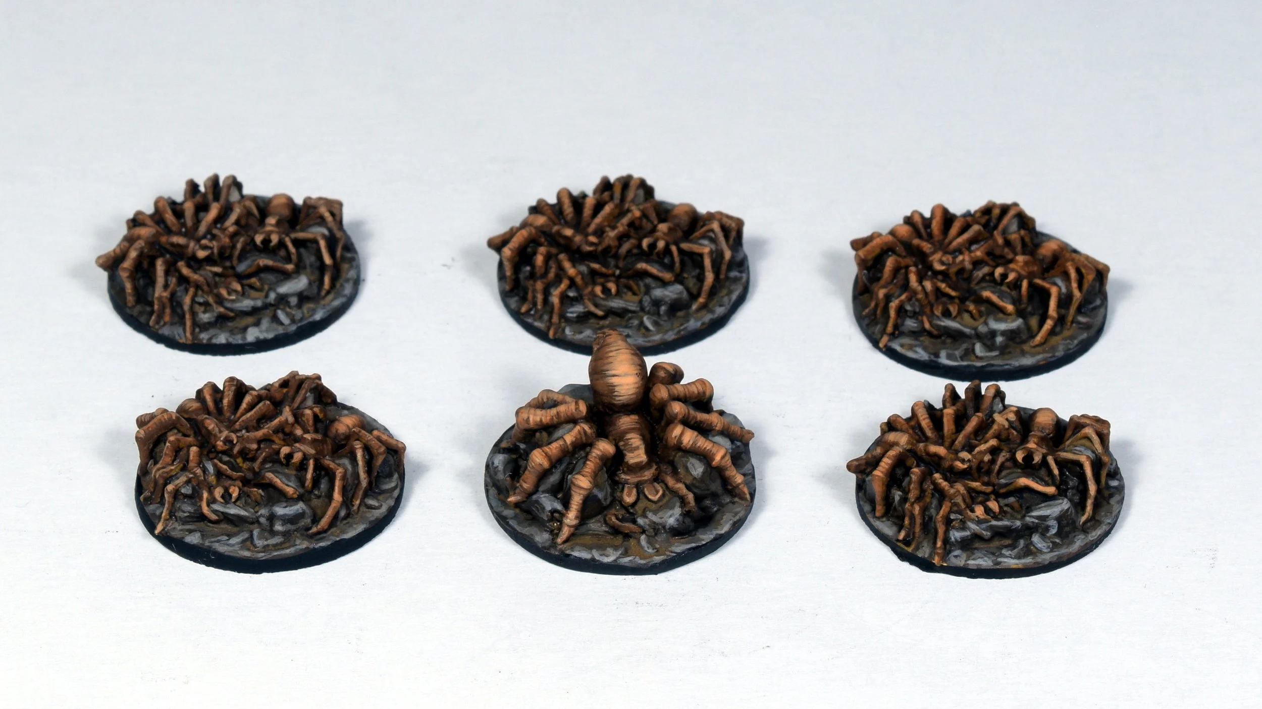 Spiders.JPG