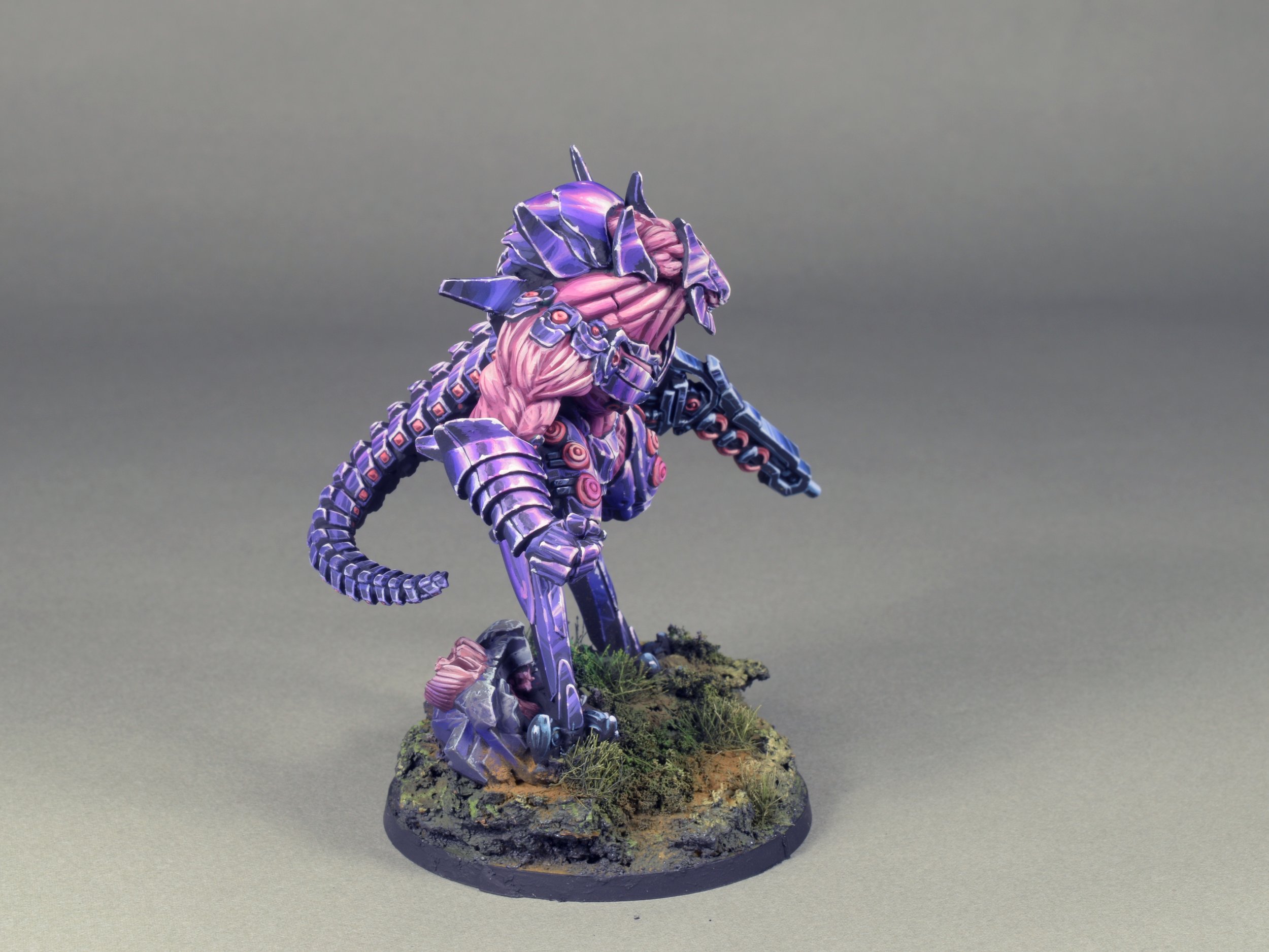 CA501.JPG