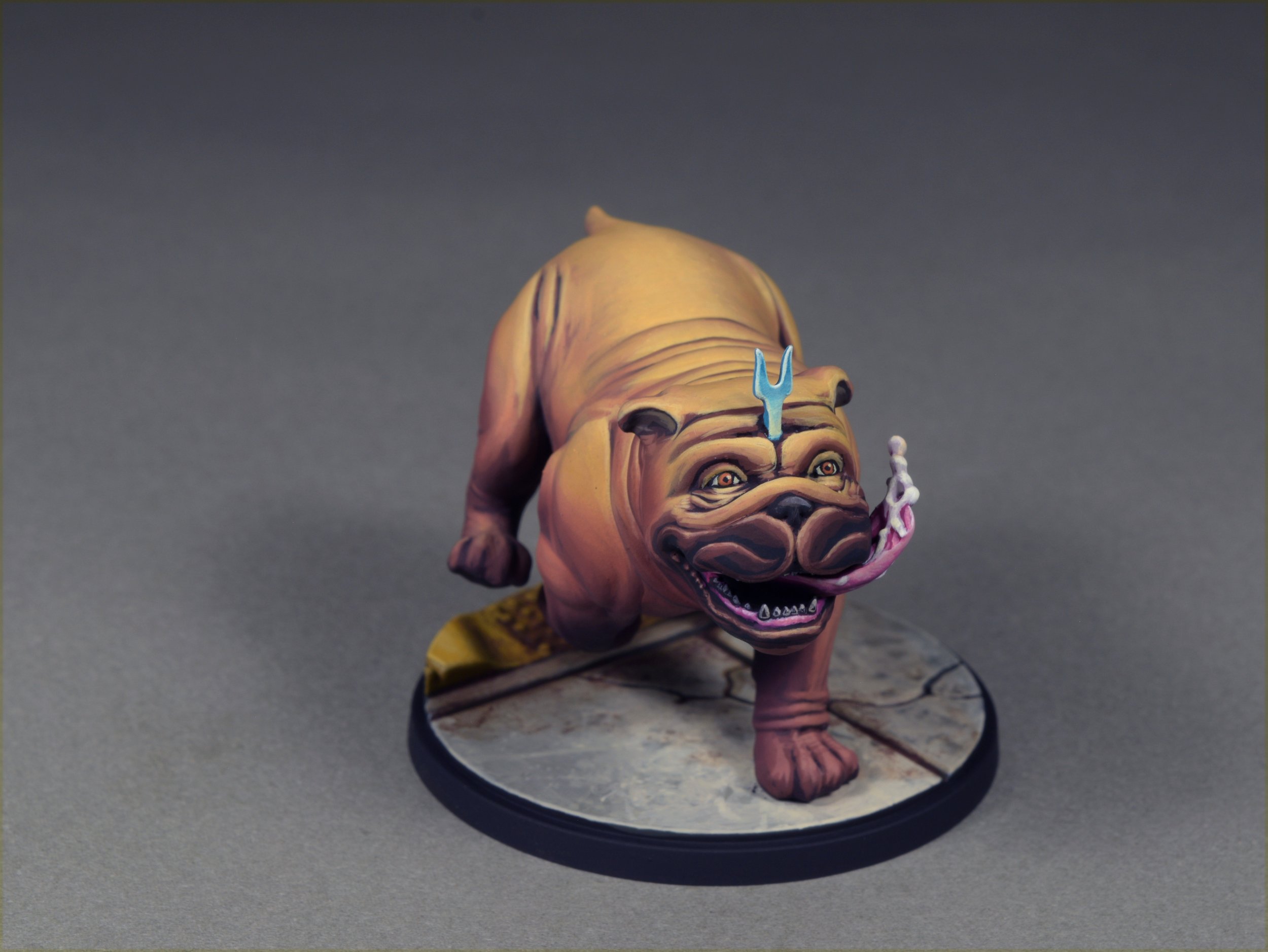 Lockjaw 10.JPG