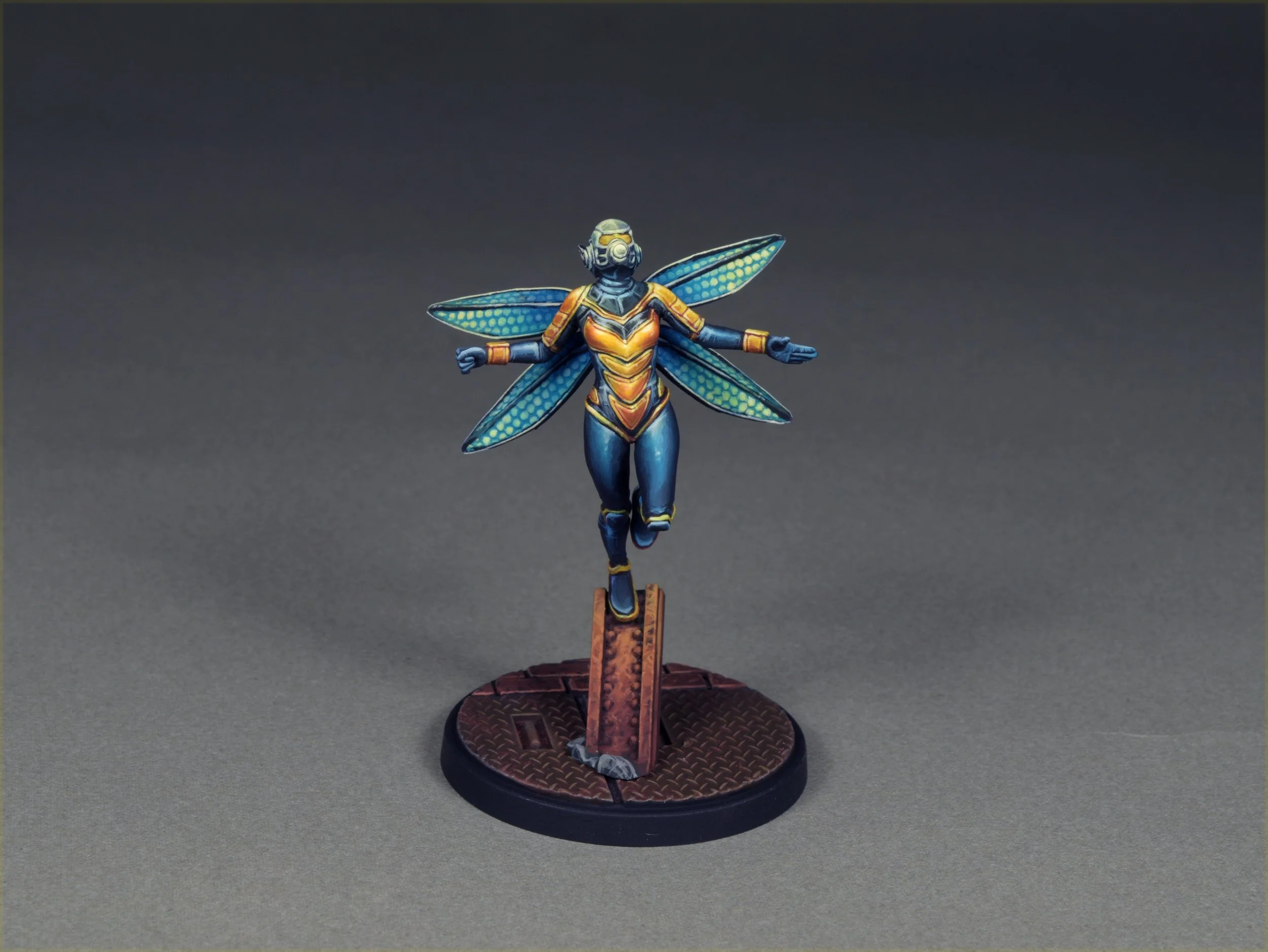 Wasp 10.JPG