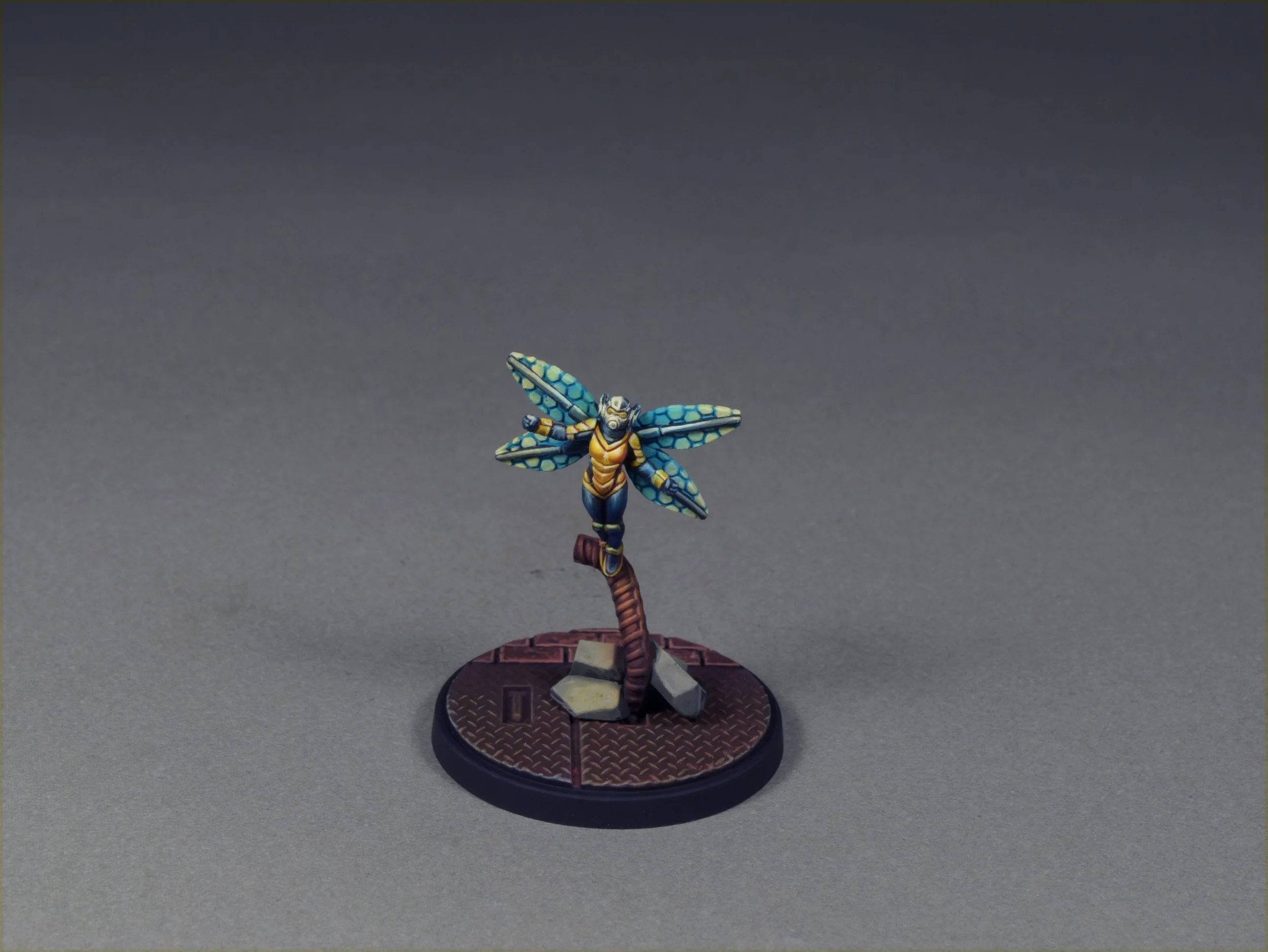 Wasp 20.JPG