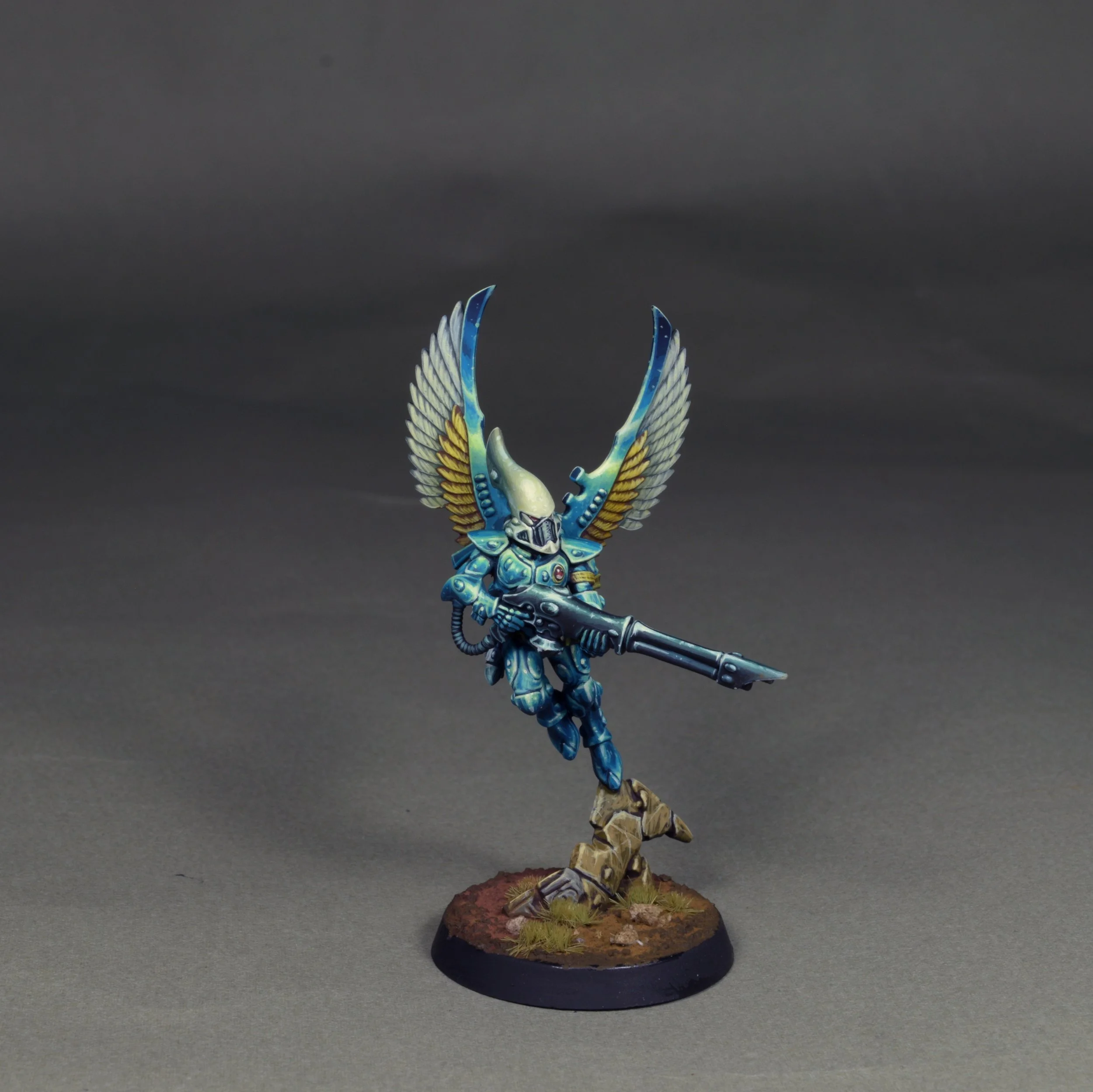 Swooping 11.JPG