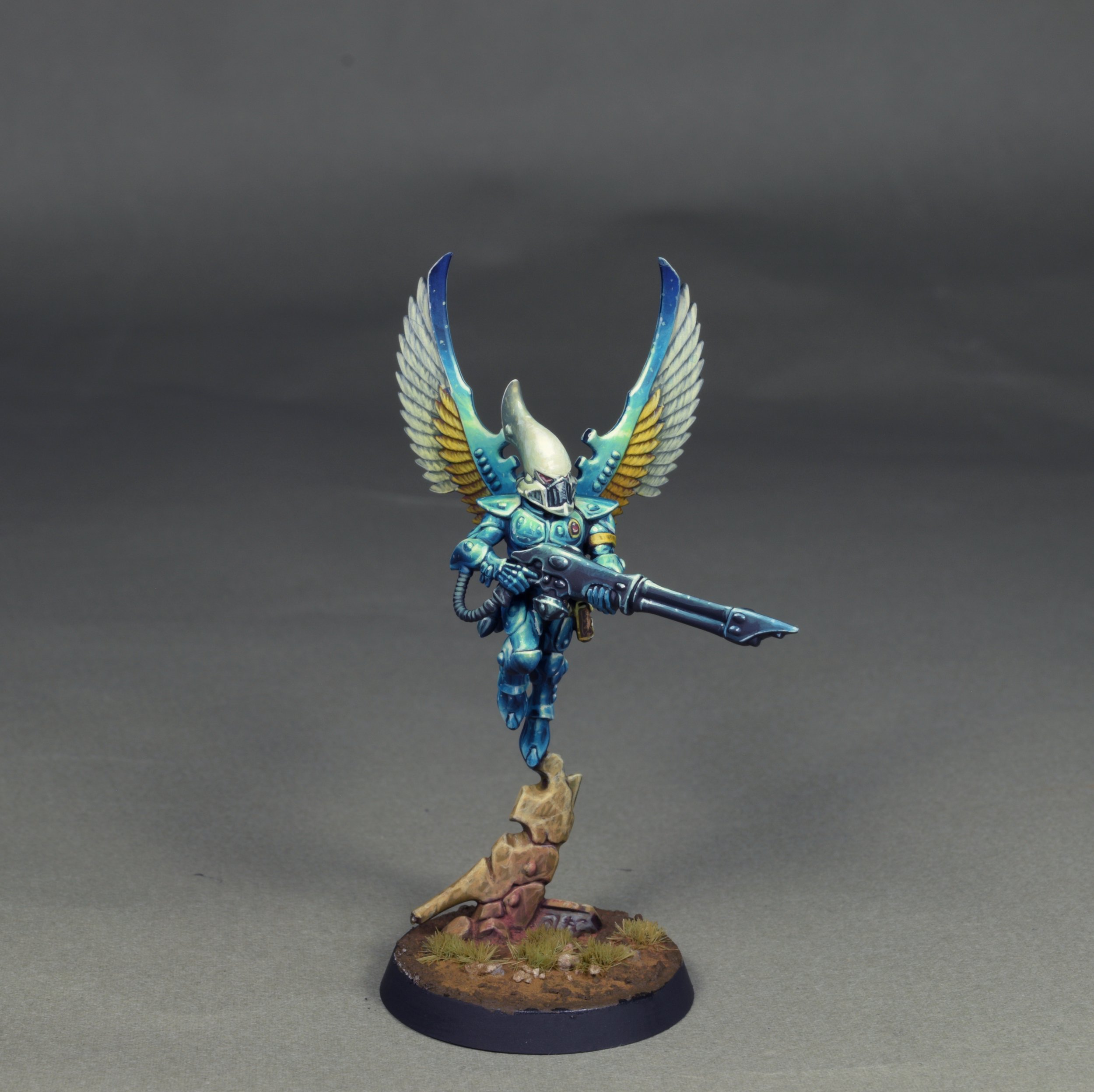 Swooping 13.JPG