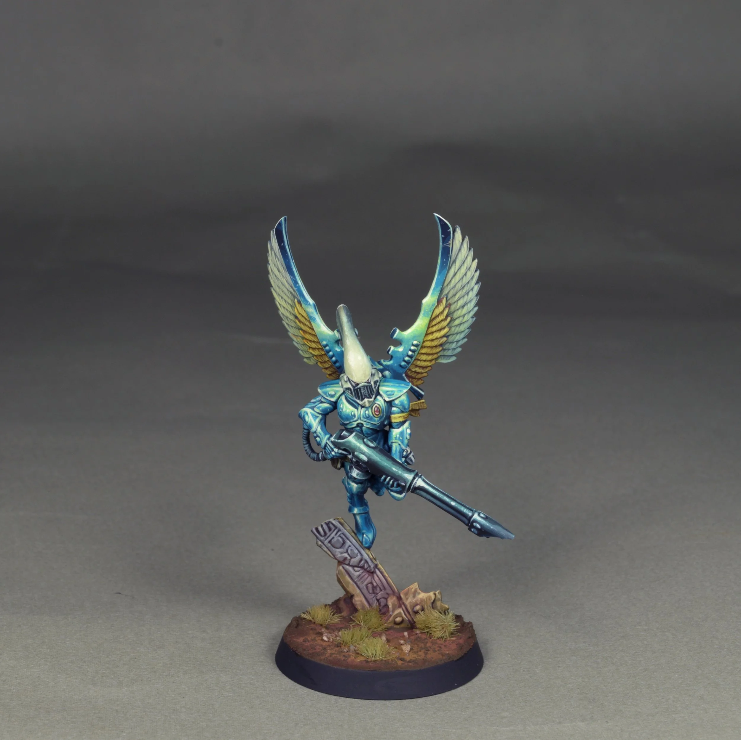 Swooping 14.JPG