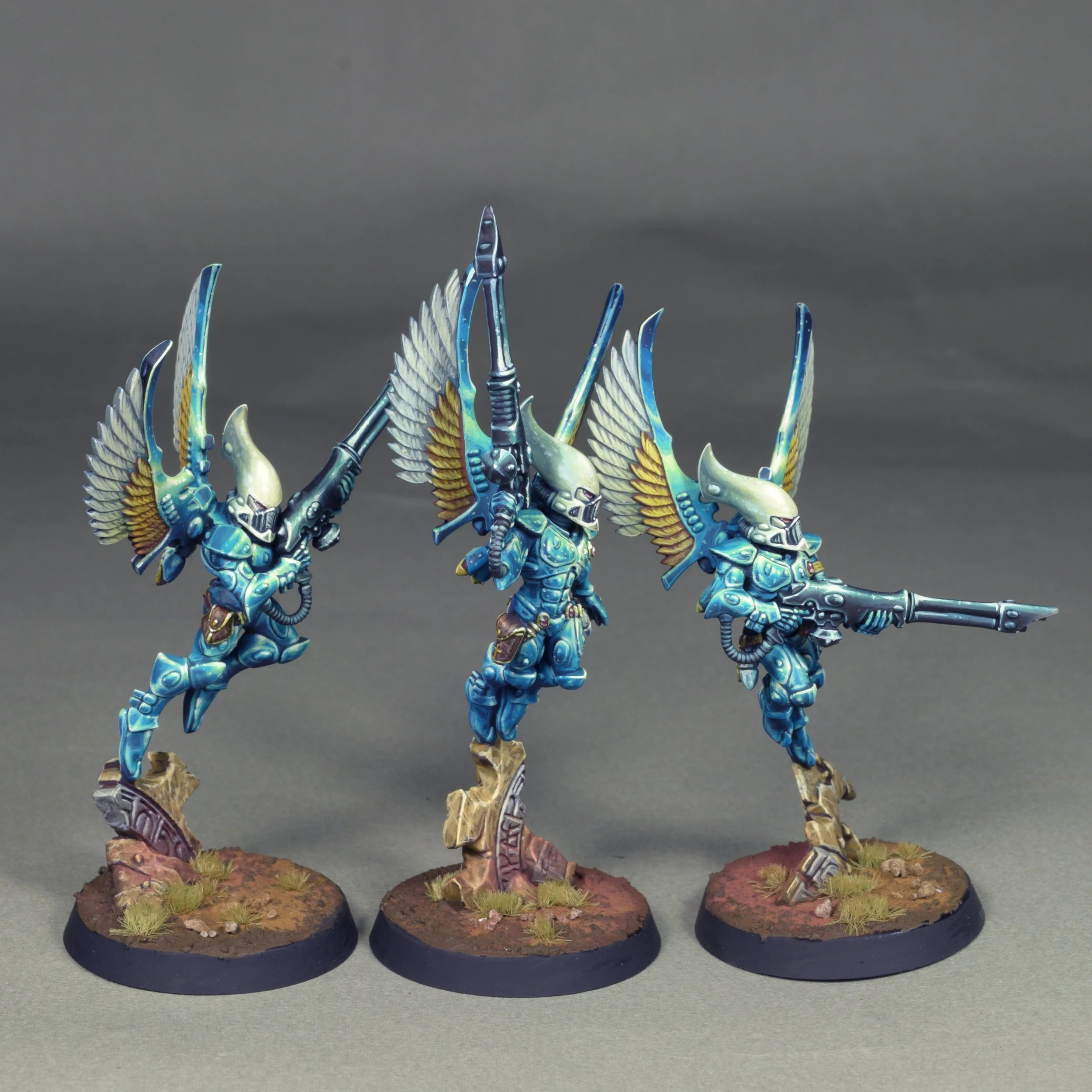 Swooping 21.JPG