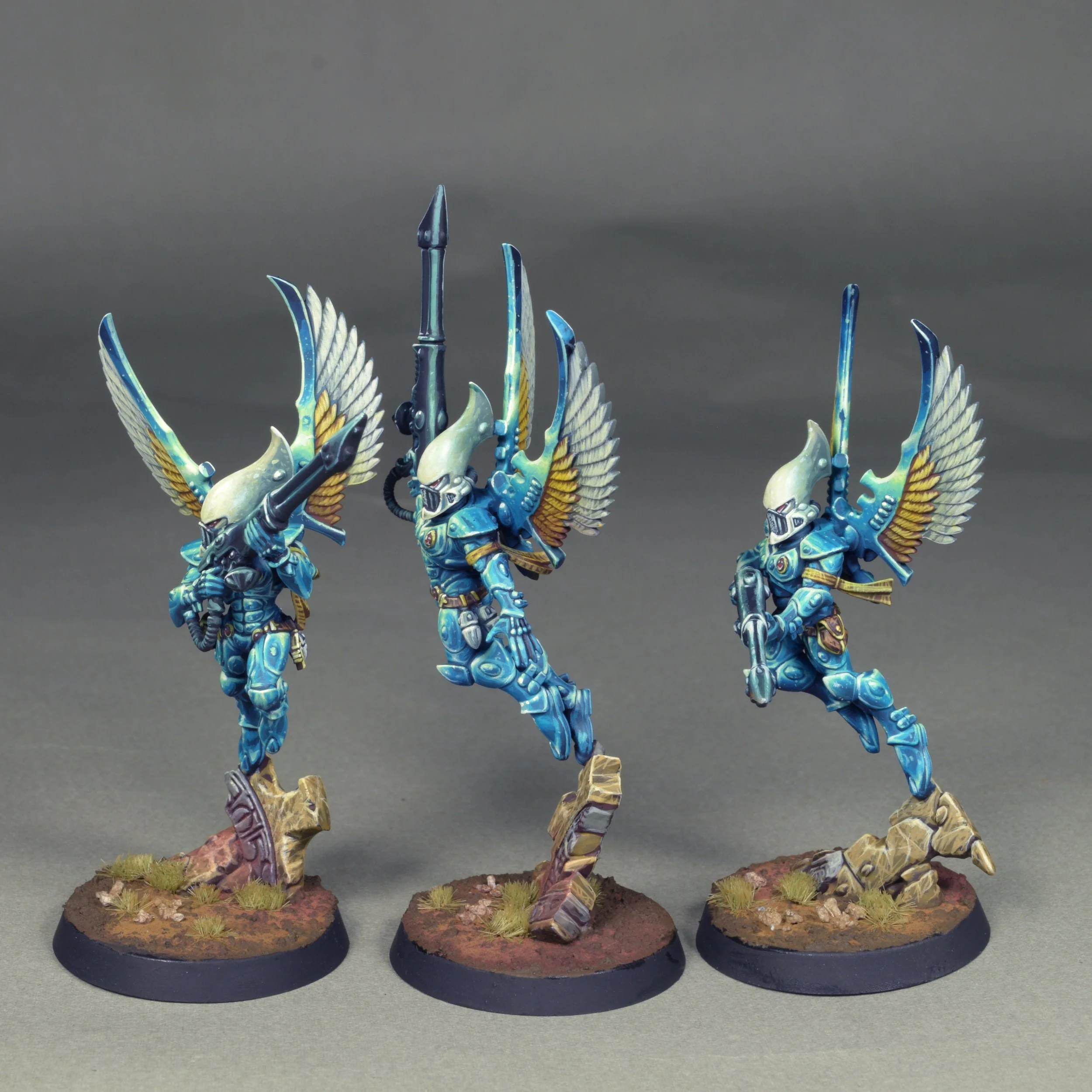Swooping 23.JPG