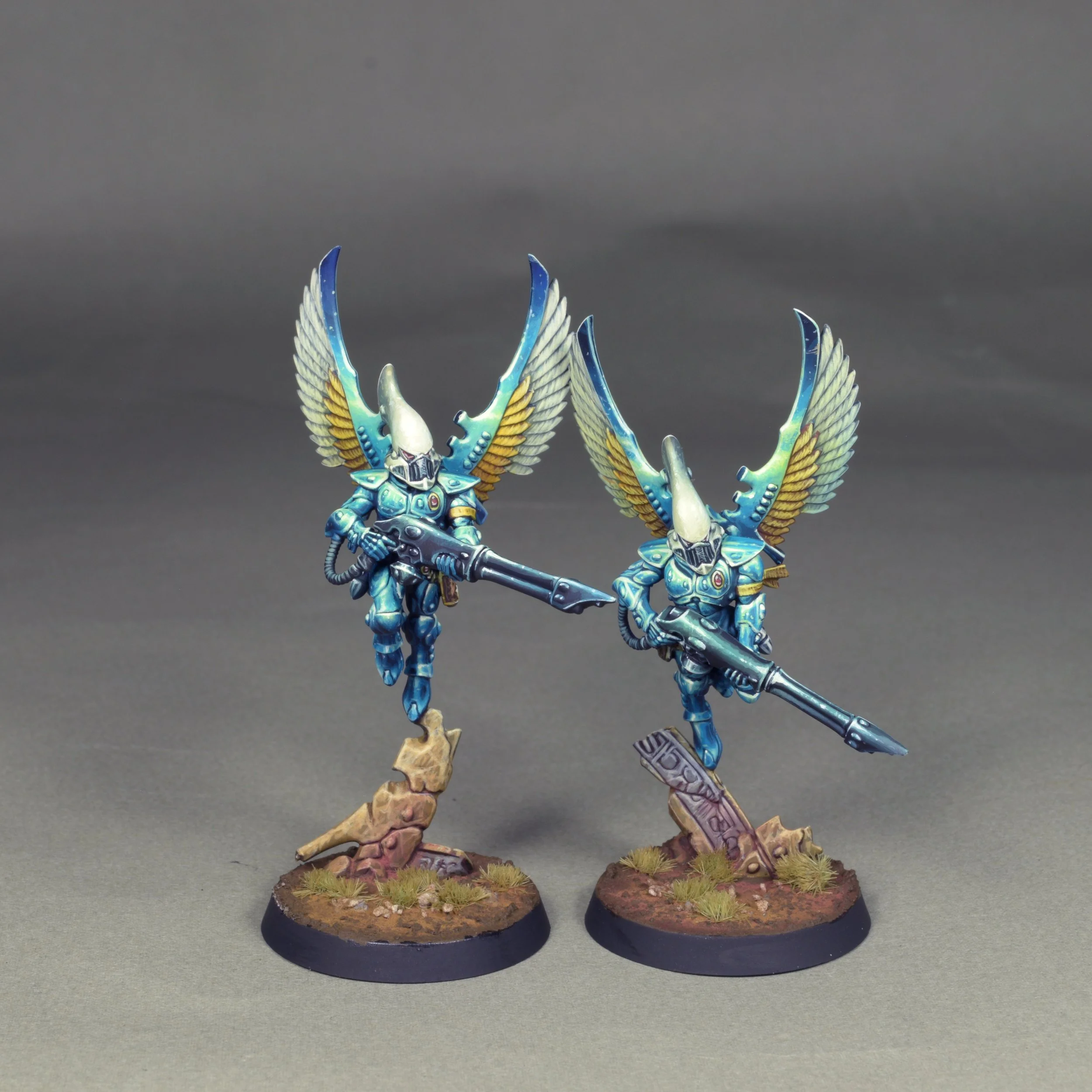 Swooping 25.JPG