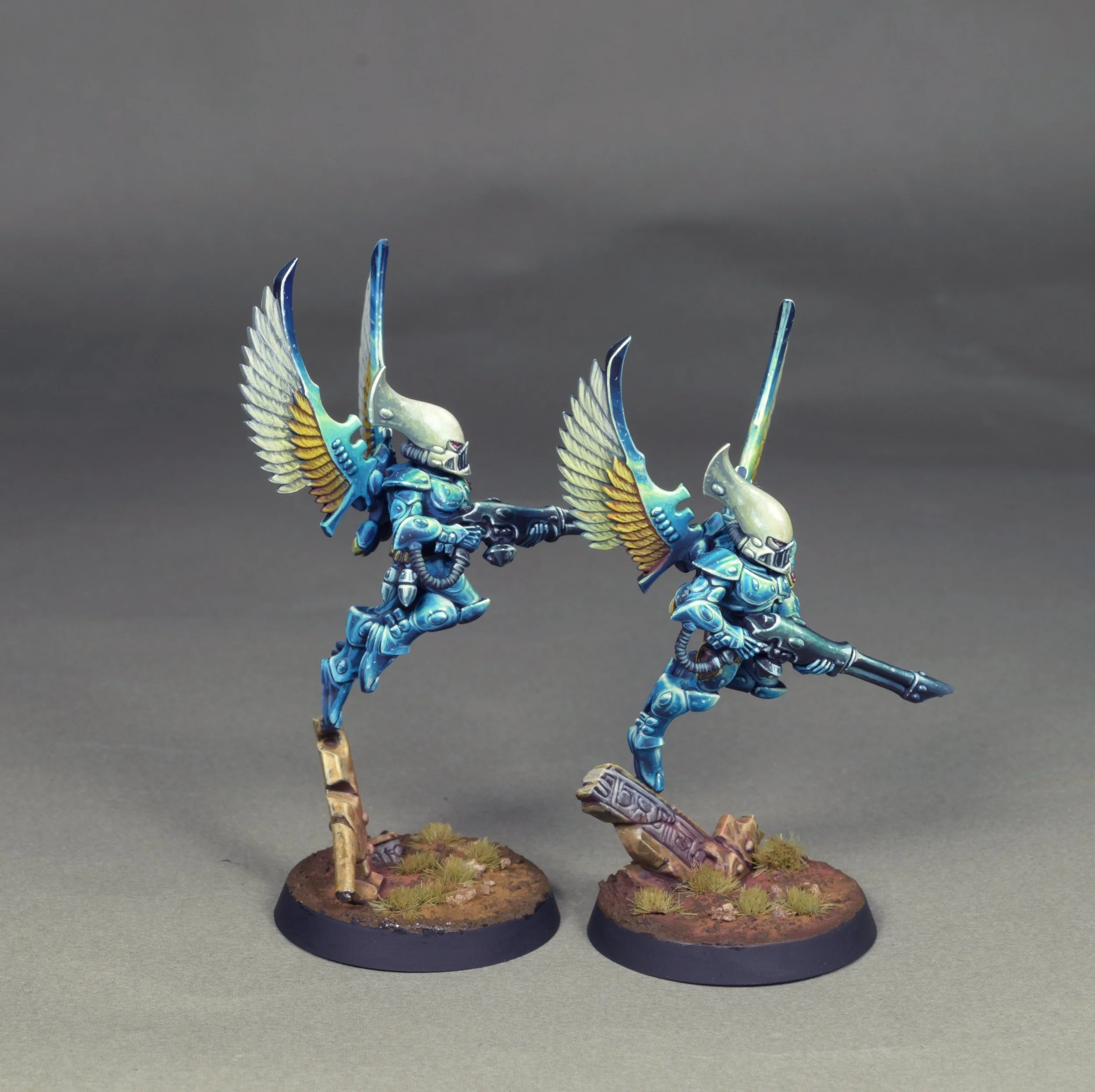 Swooping 26.JPG