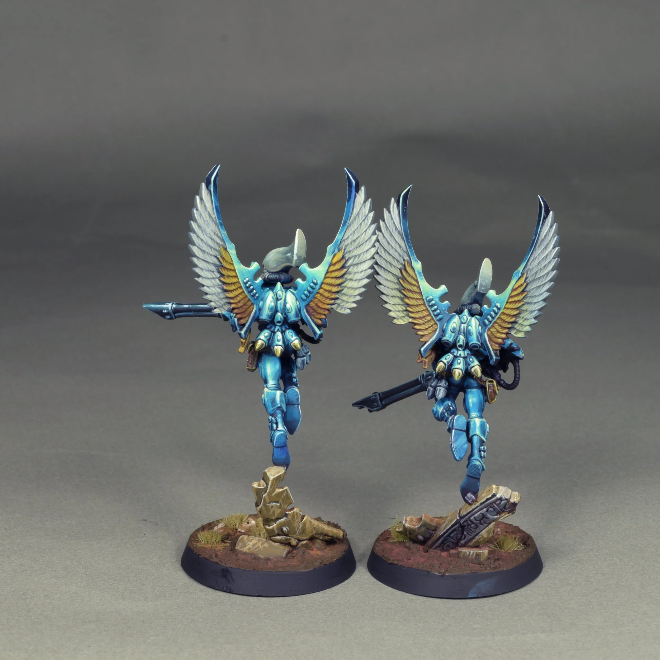 Swooping 27.JPG