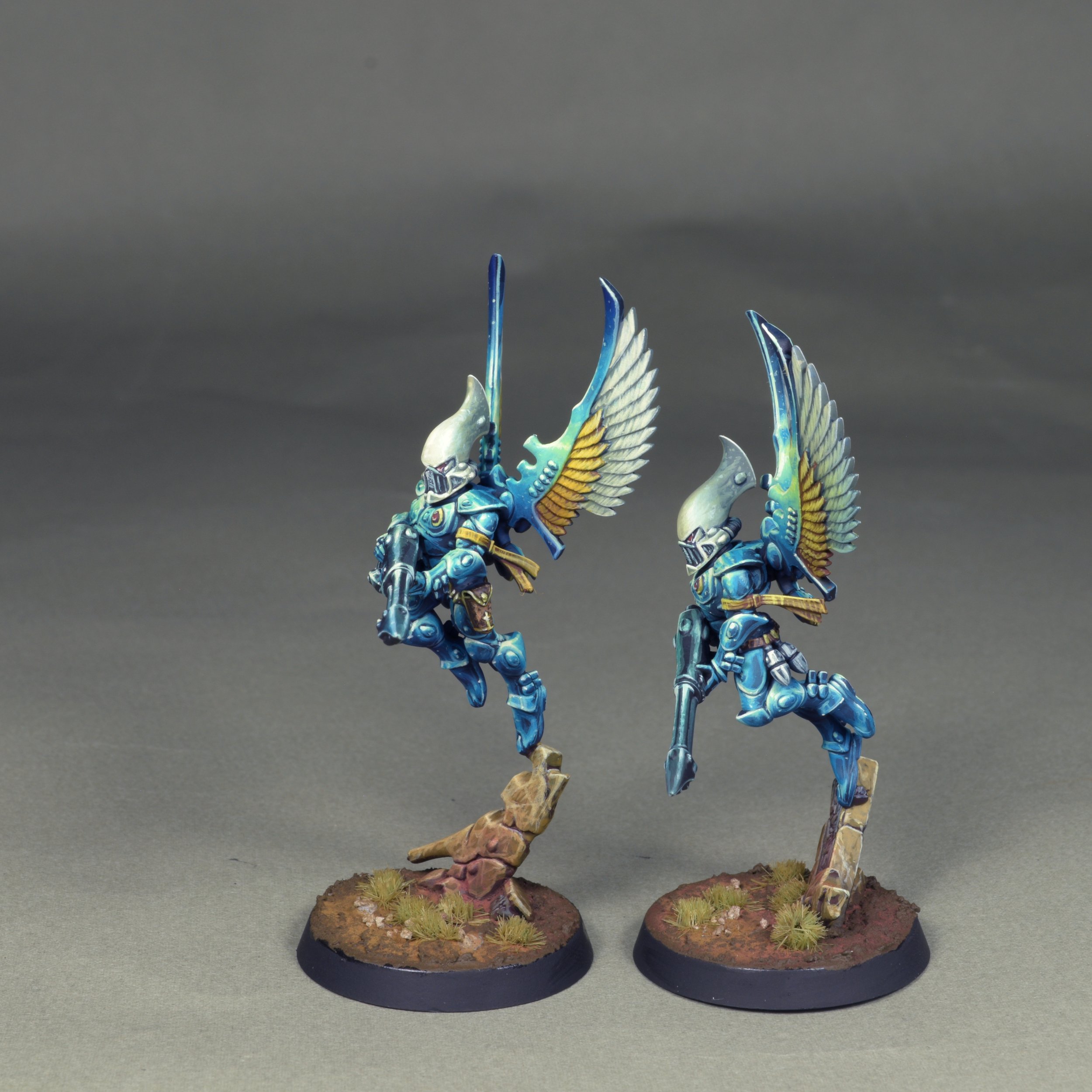 Swooping 28.JPG