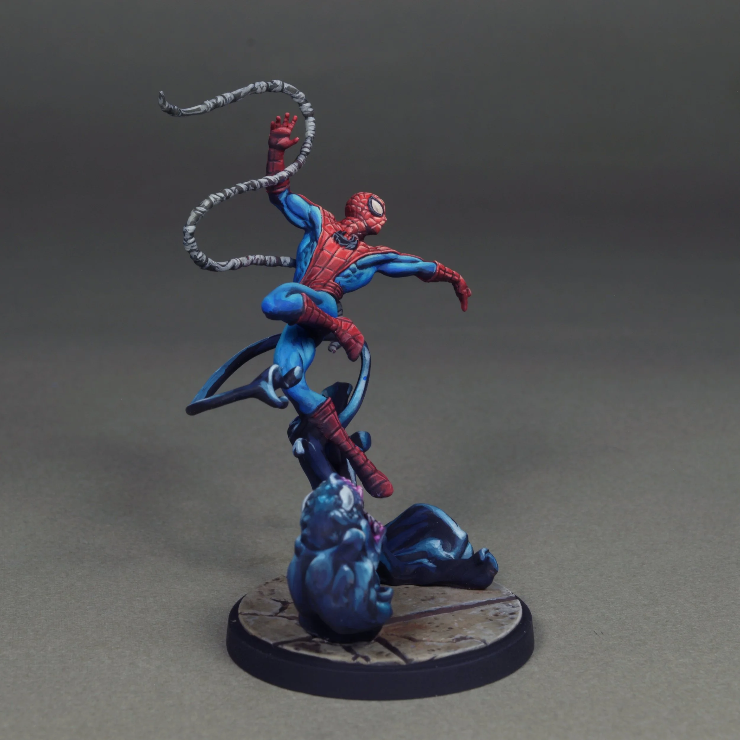 Spider 11.JPG