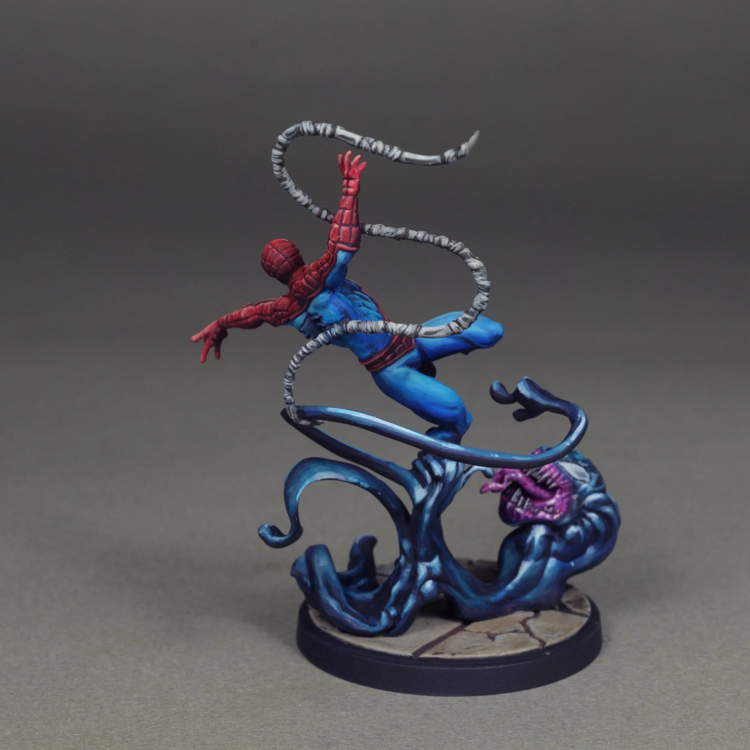 Spider 12.JPG