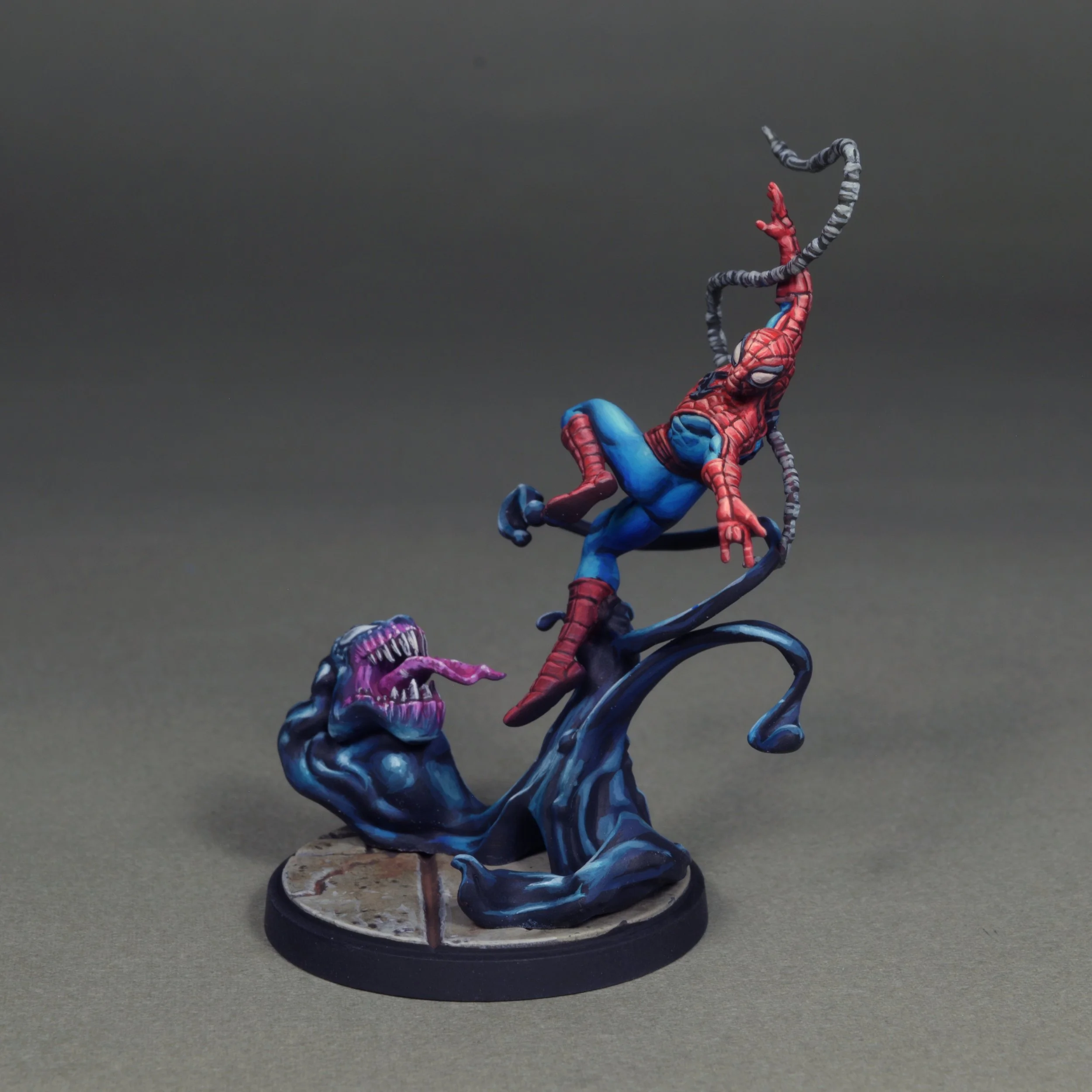 Spider 13.JPG