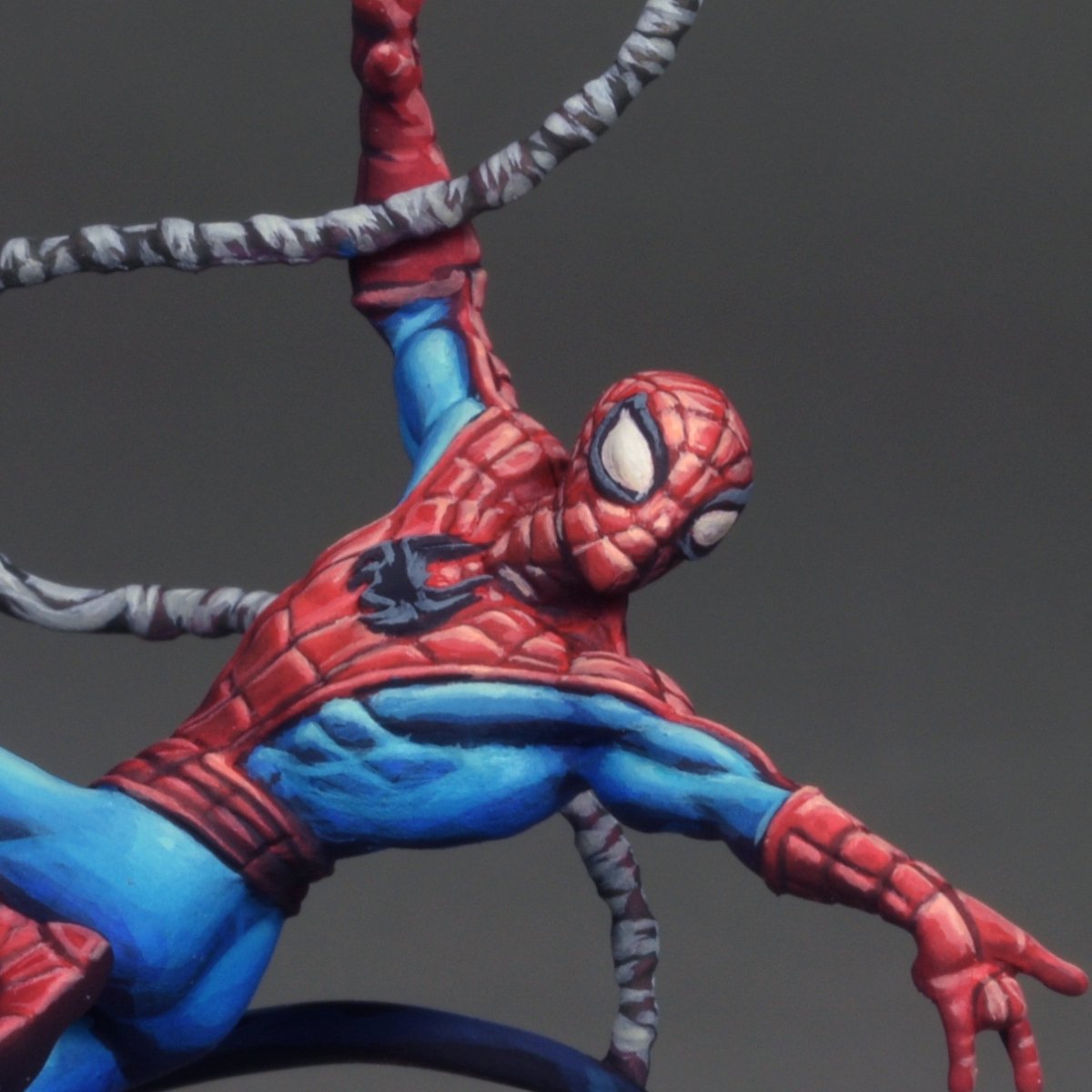 Spider 15.JPG