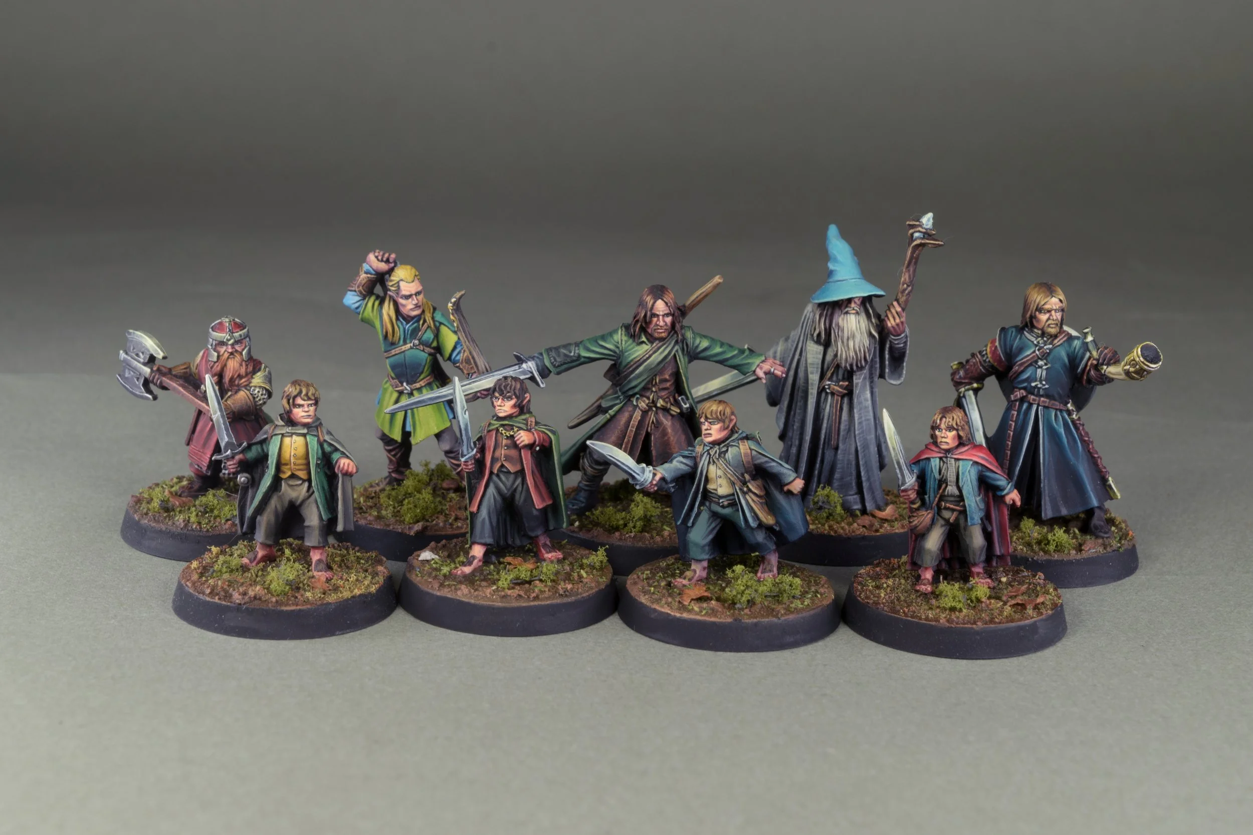 The Fellowship of the Ring