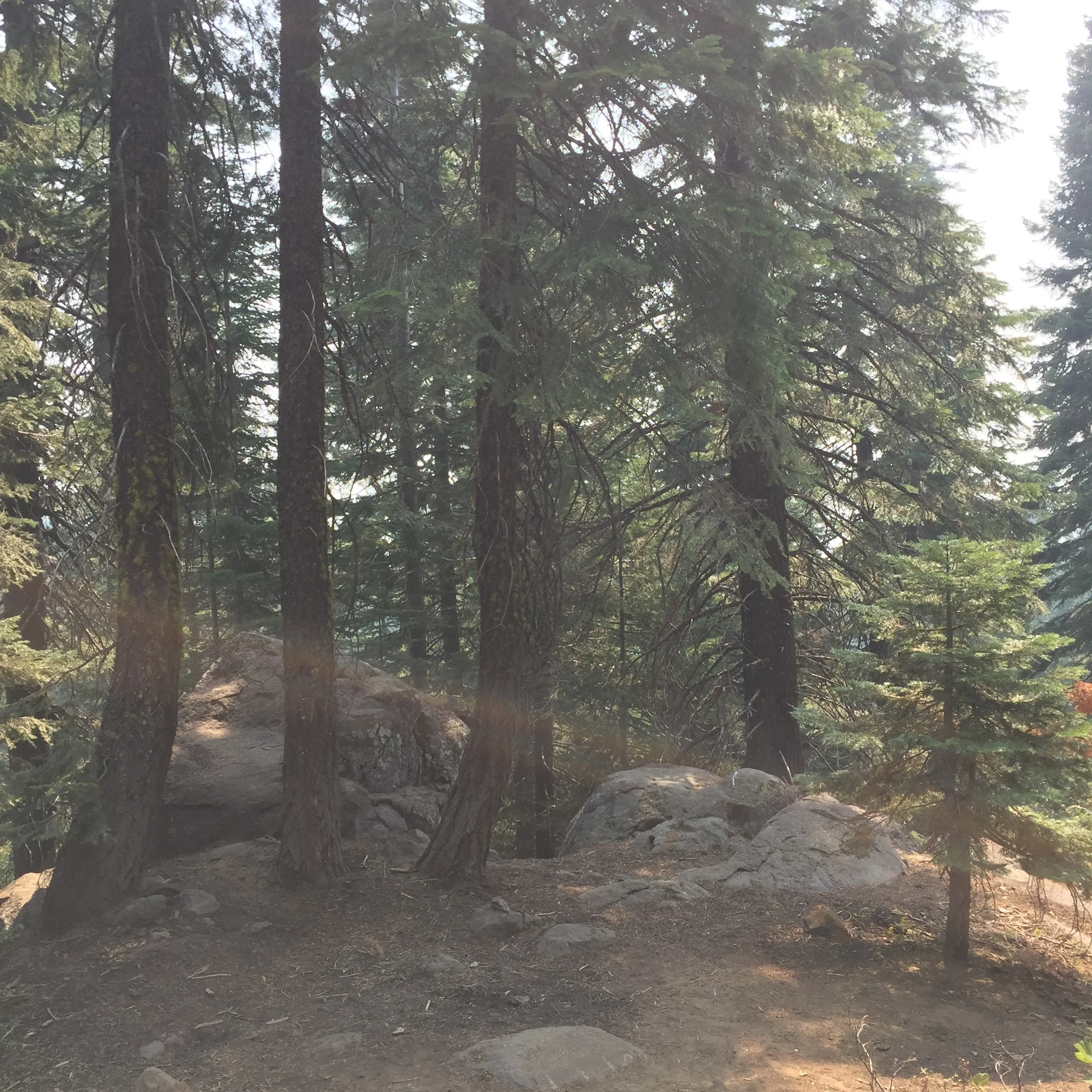 Serenity Portal on Mount Shasta , Mount Shasta Vortex Crystals , 