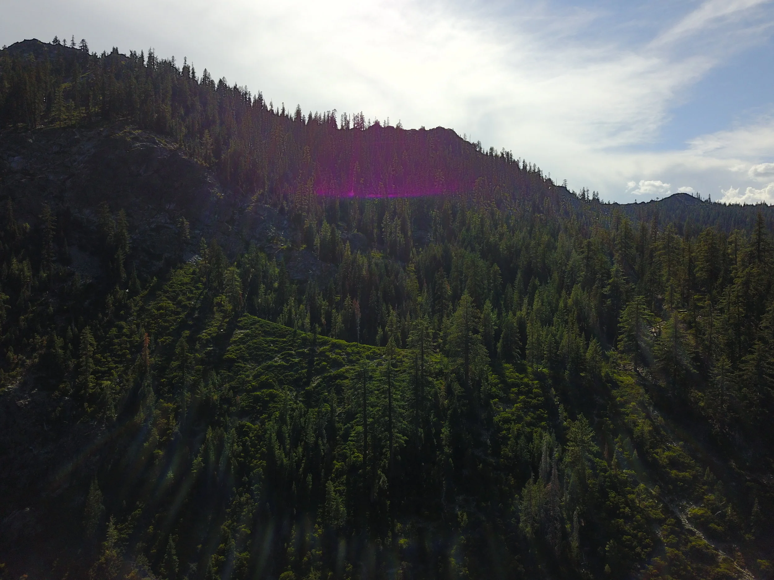 Amethyst, Mount Shasta Vortex Crystals, mount Shasta Vortex, ascended masters , Saint Germain