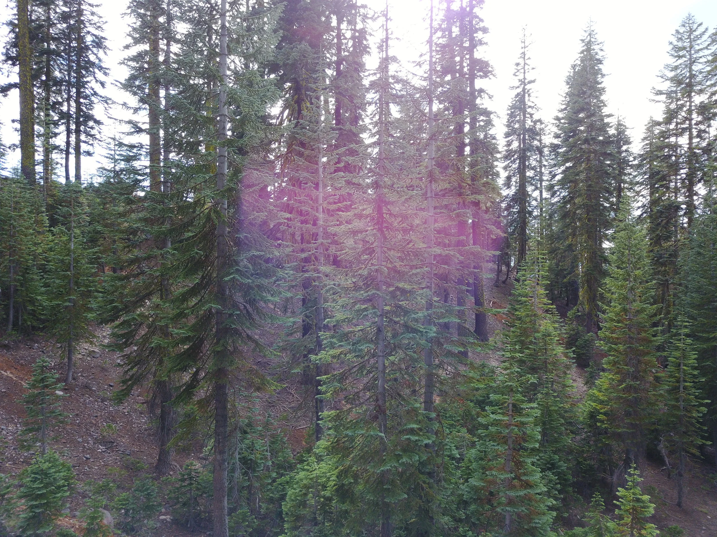 Telos Portal Mount Shasta , Mount Shasta VORTEX,  Mount Shasta Vortex Crystals