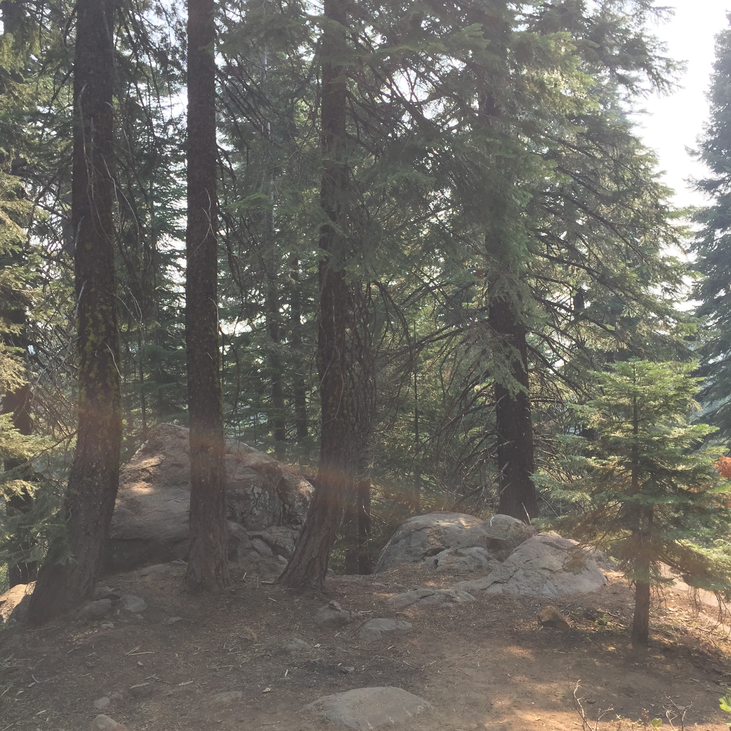 Serenity portal on Mount Shasta 