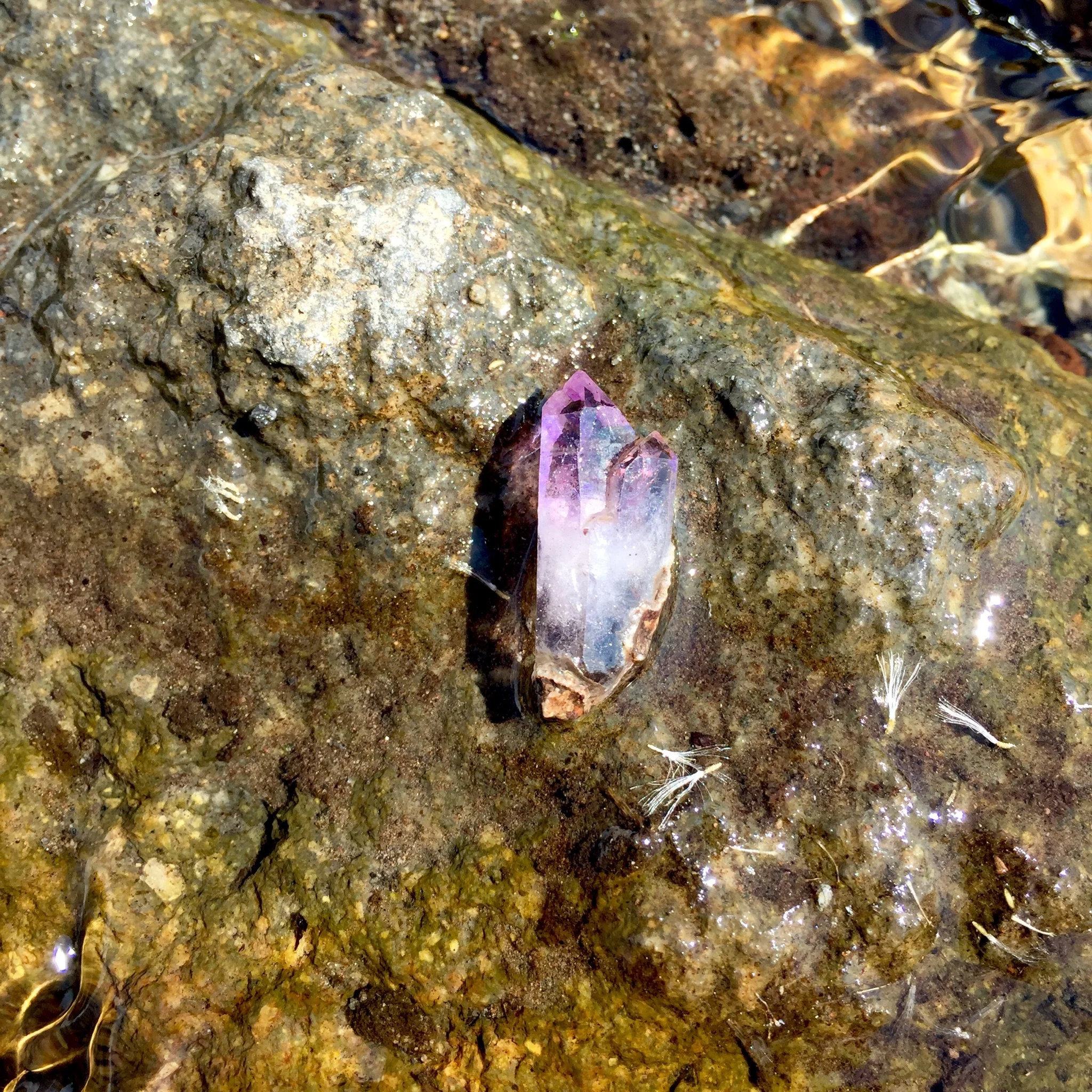  AMETHYST TWIN FLAME CRYSTAL / PANTHER MEADOWS 